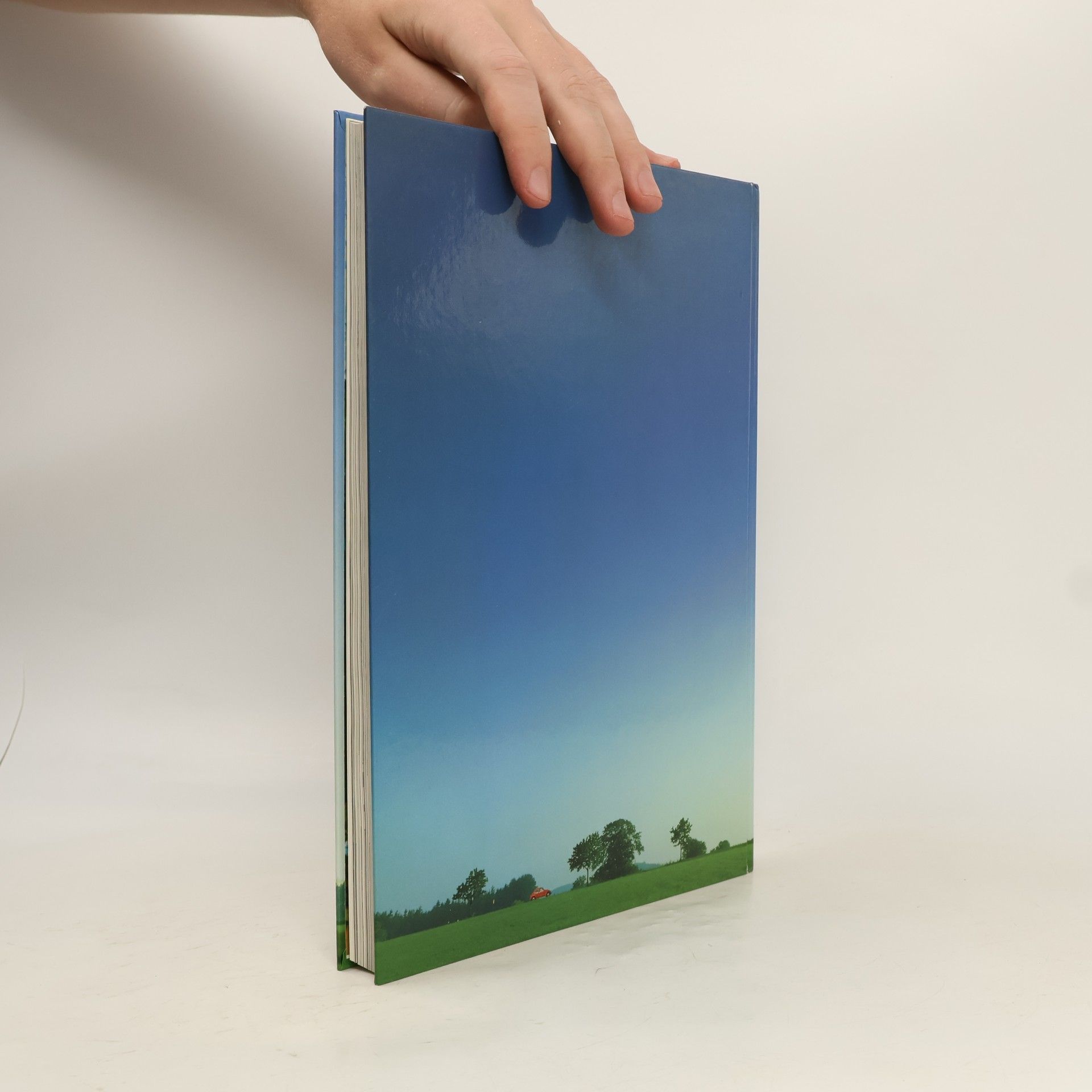 Autorenkollektiv Das Buch.