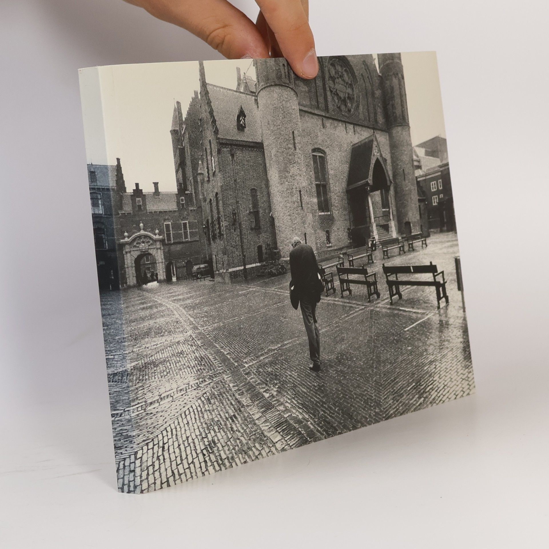 Ronaldus Quirinus Jacobus Rozenburg Heen en weer naar het Binnenhof