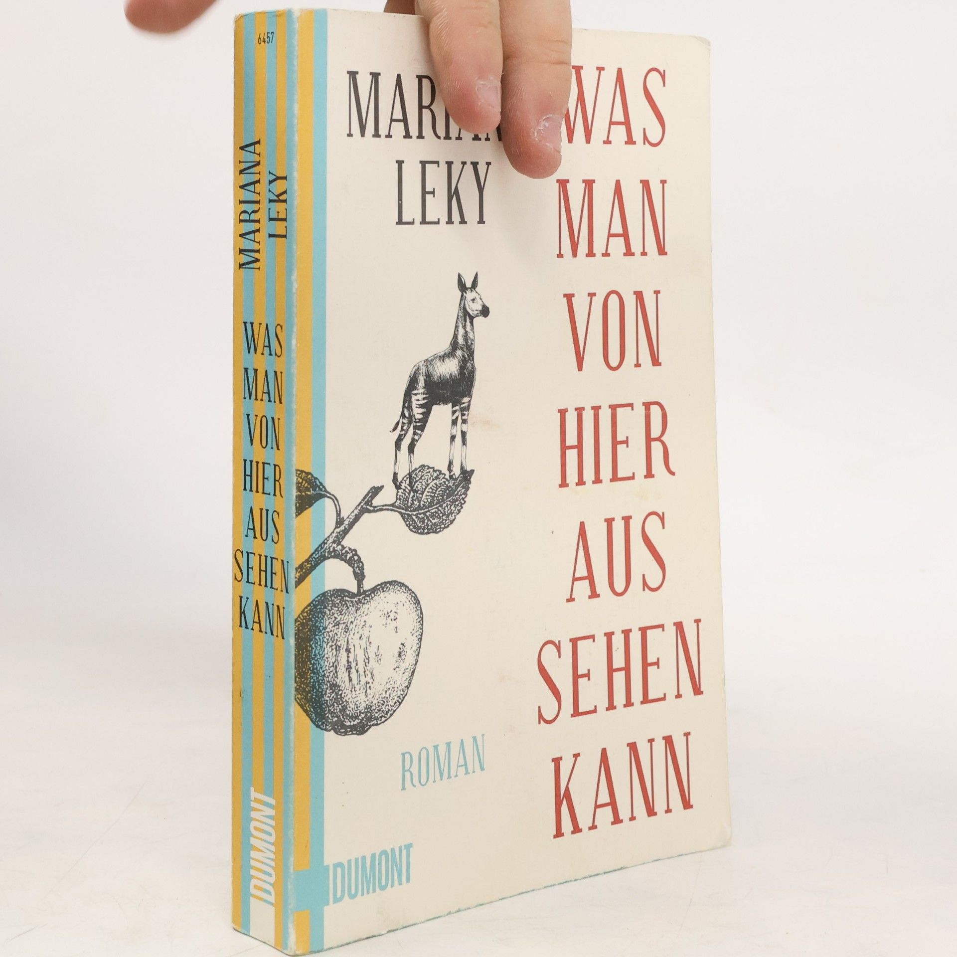 Mariana Leky Was man von hier aus sehen kann