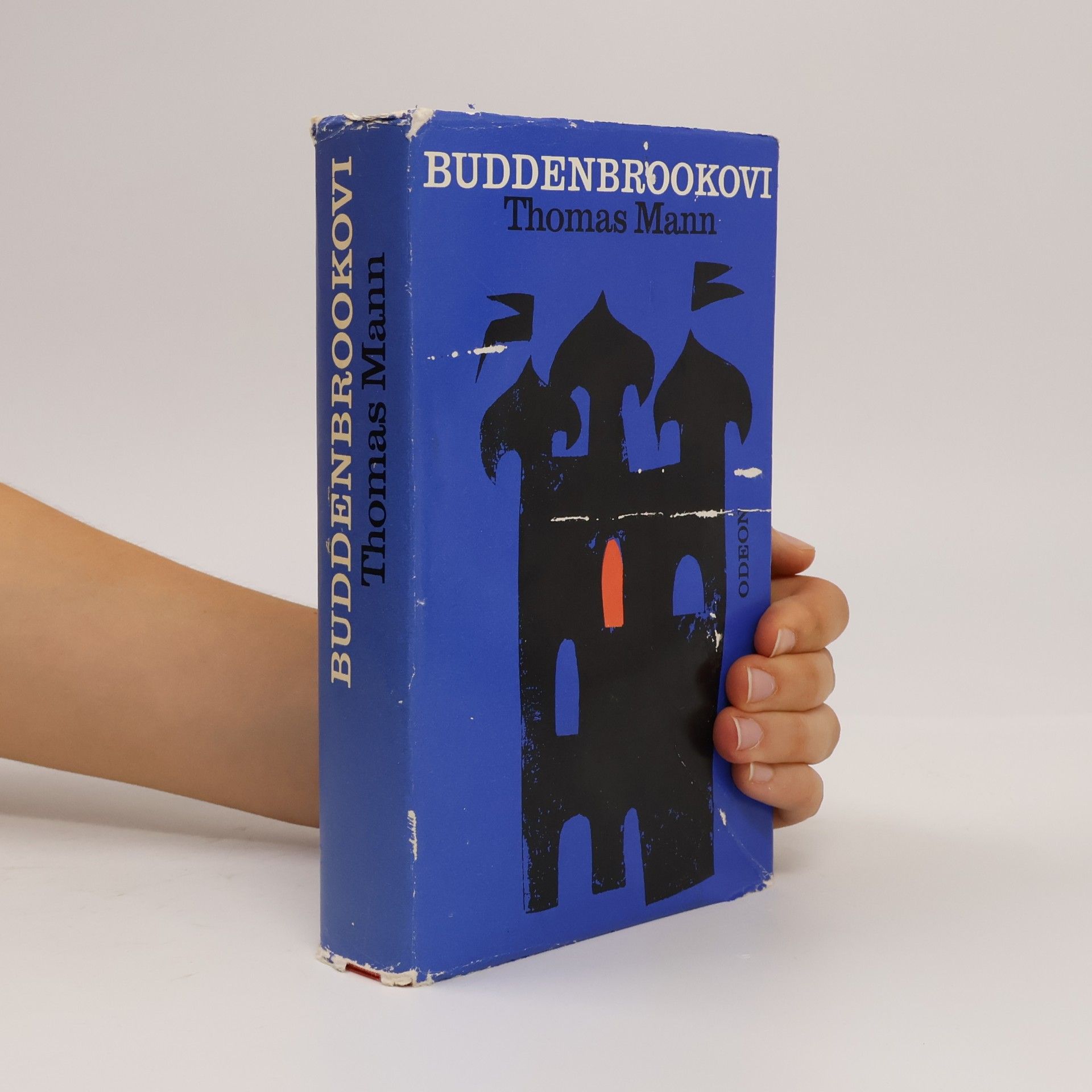 Thomas Mann Buddenbrookovi