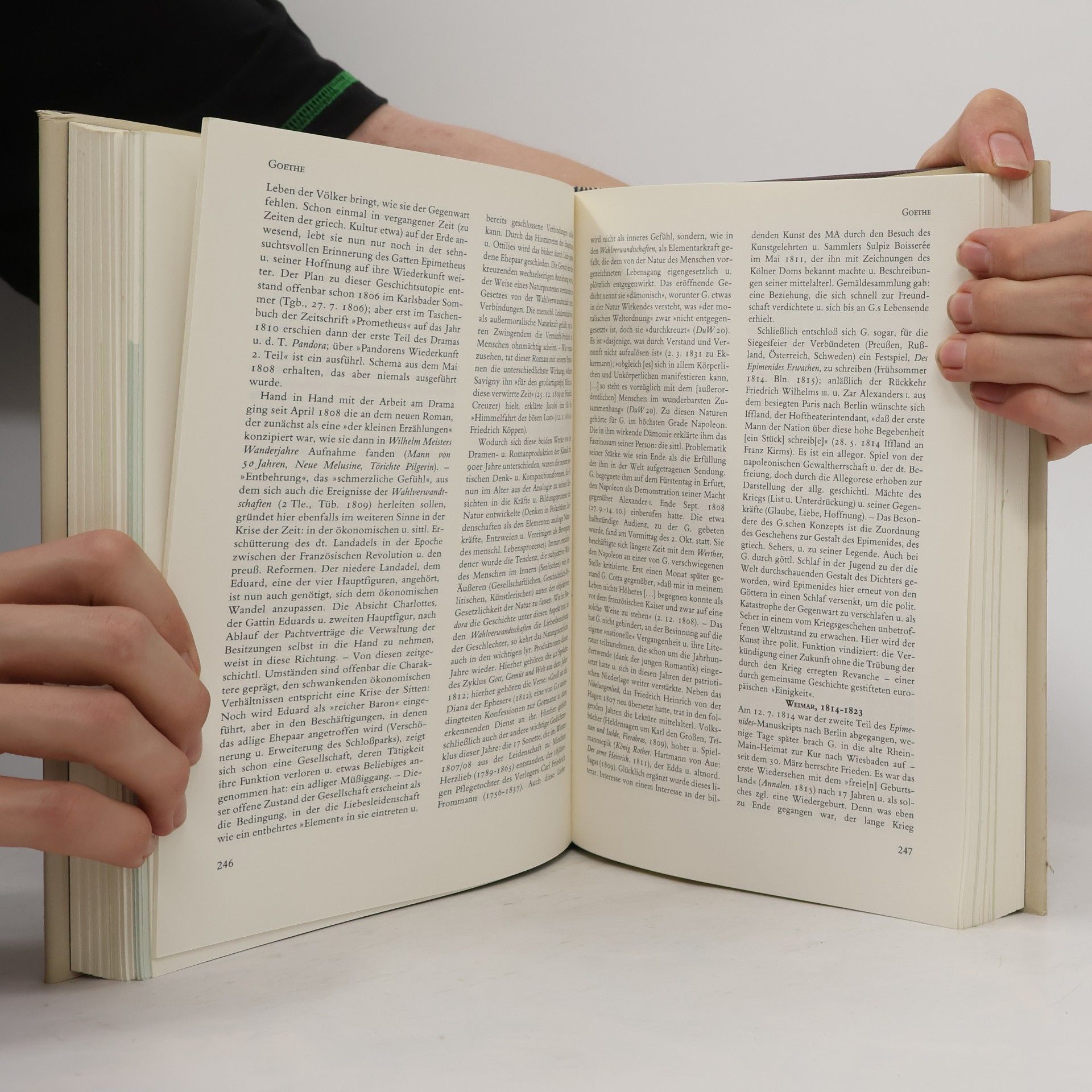 Walther Killy Literatur Lexikon 4