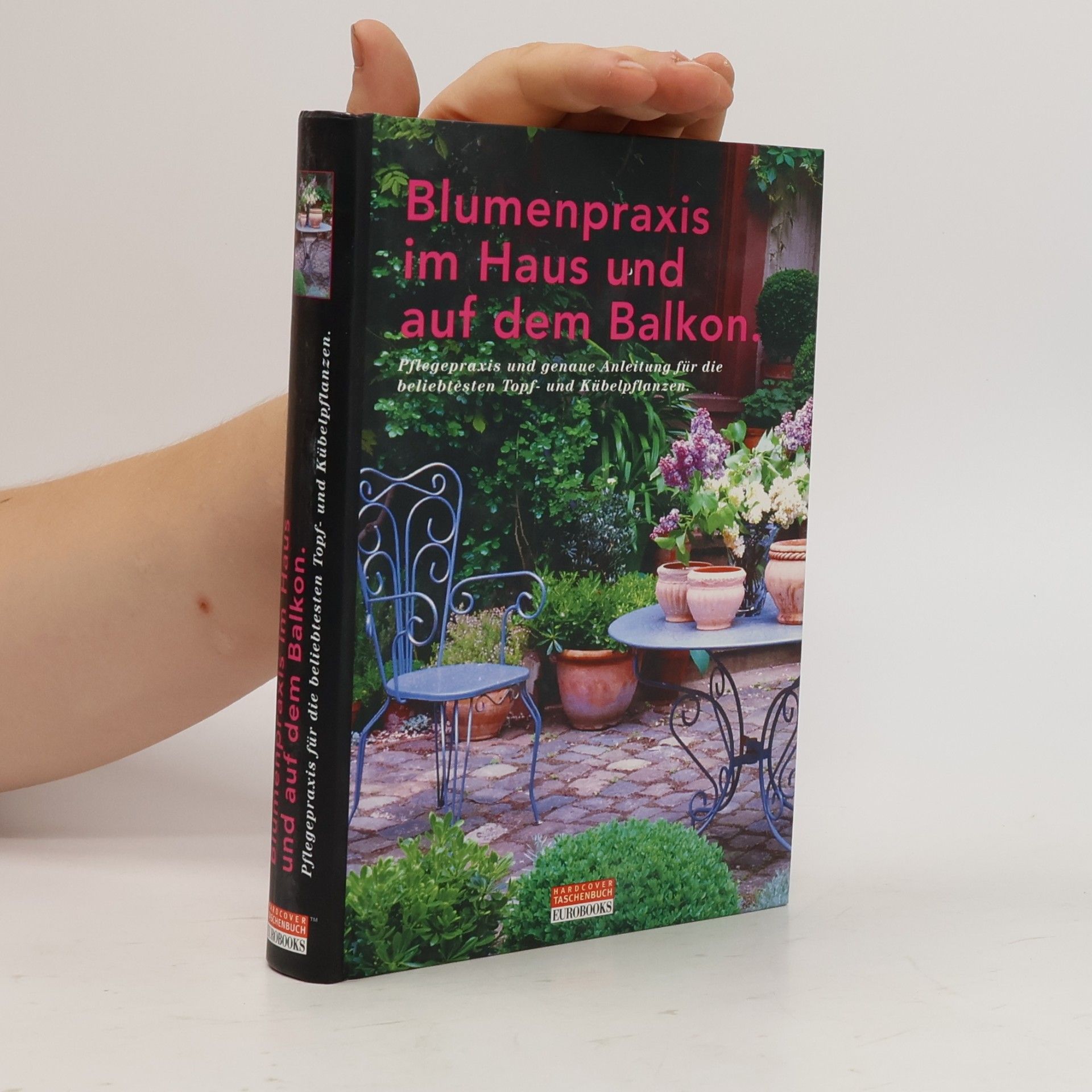 kolektiv Blumenpraxis im Haus und auf dem Balkon