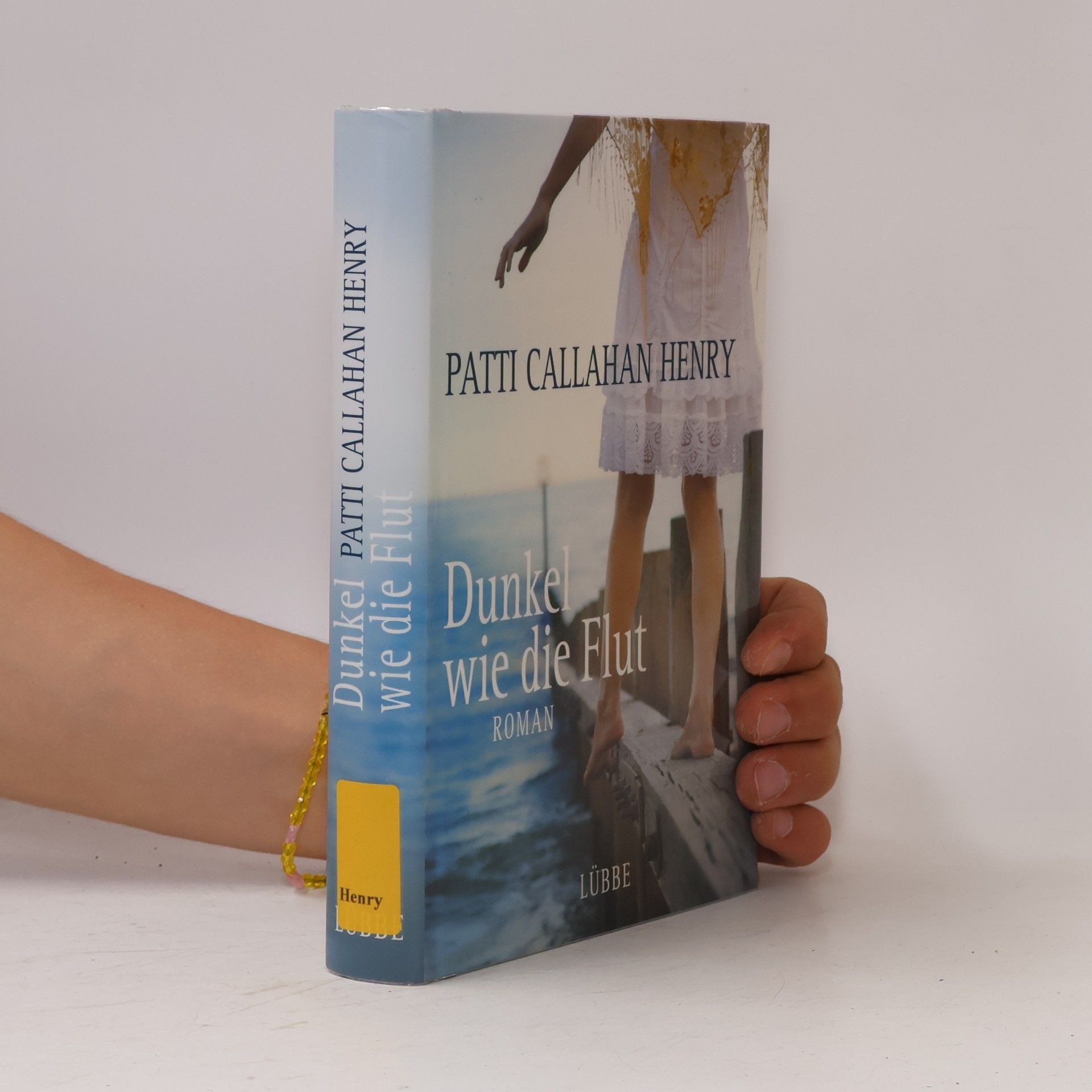 Patti Callahan Henry Dunkel wie die Flut