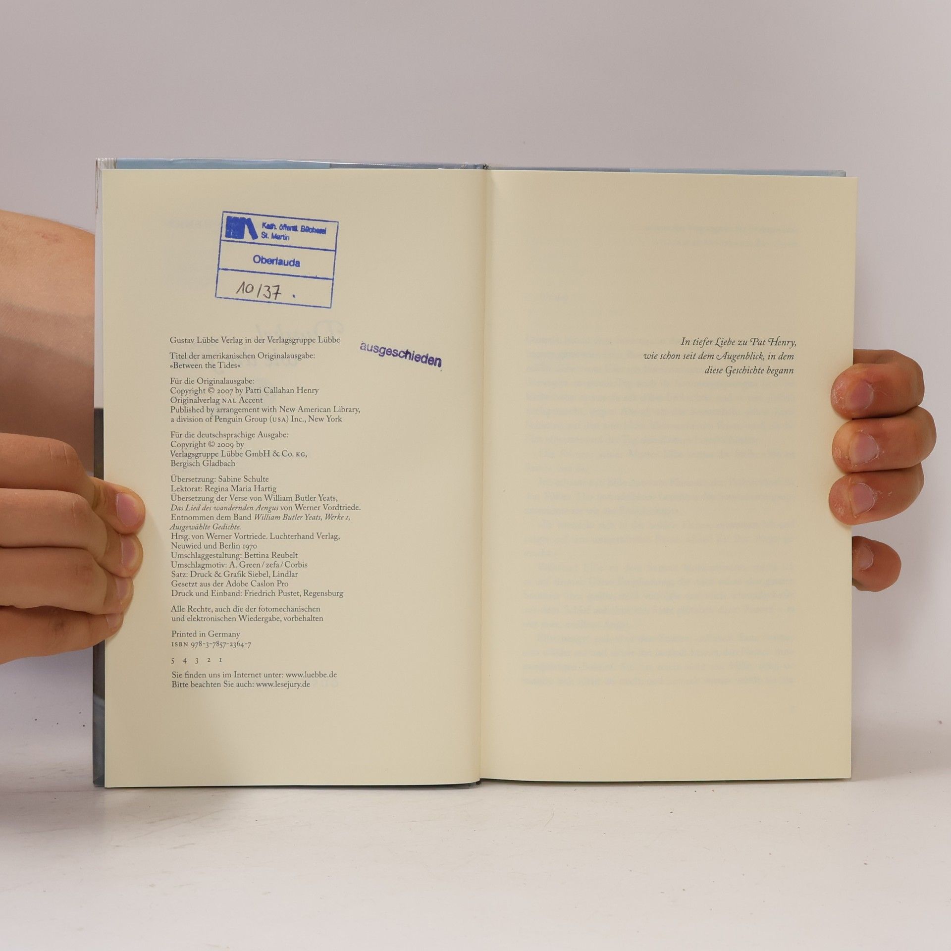 Patti Callahan Henry Dunkel wie die Flut
