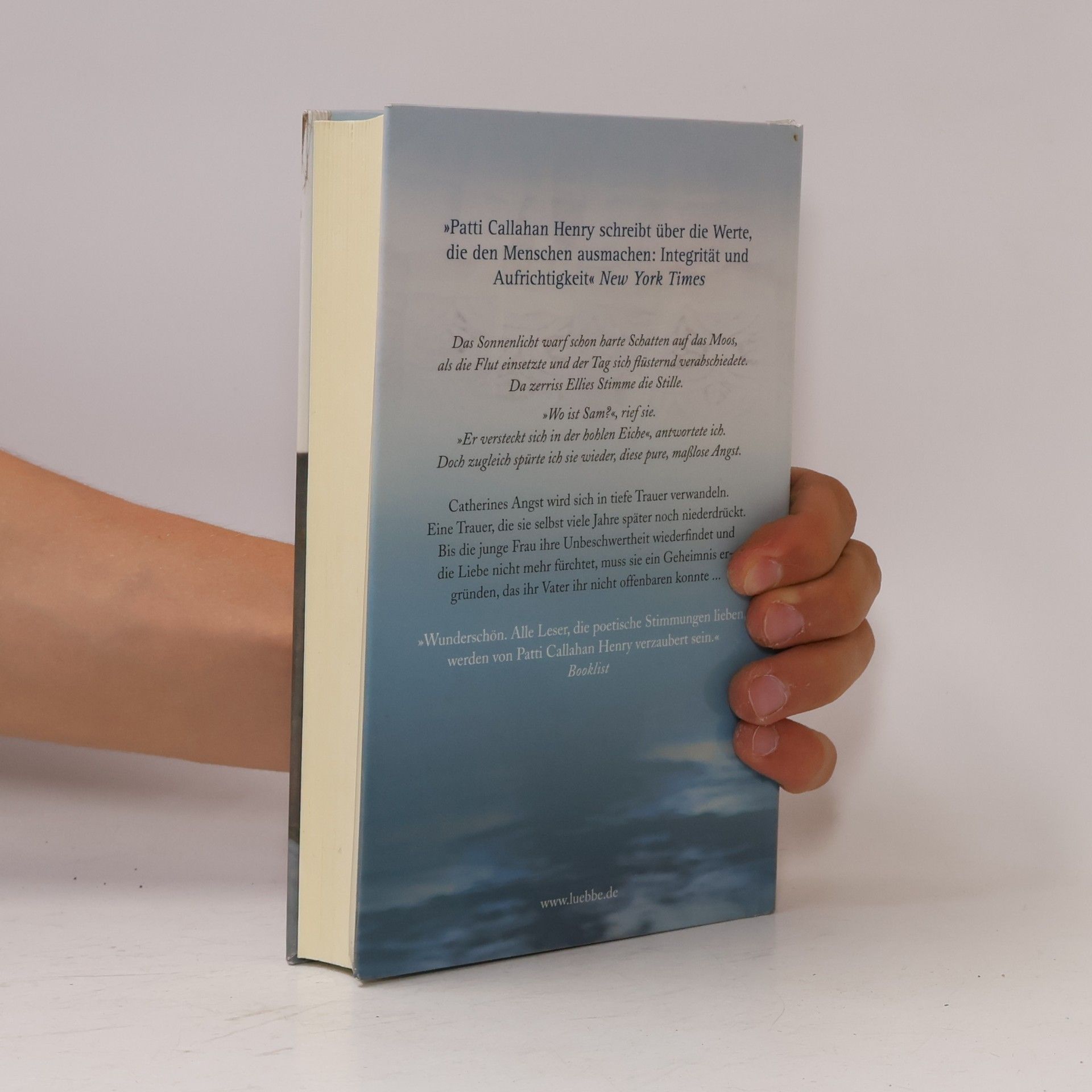 Patti Callahan Henry Dunkel wie die Flut