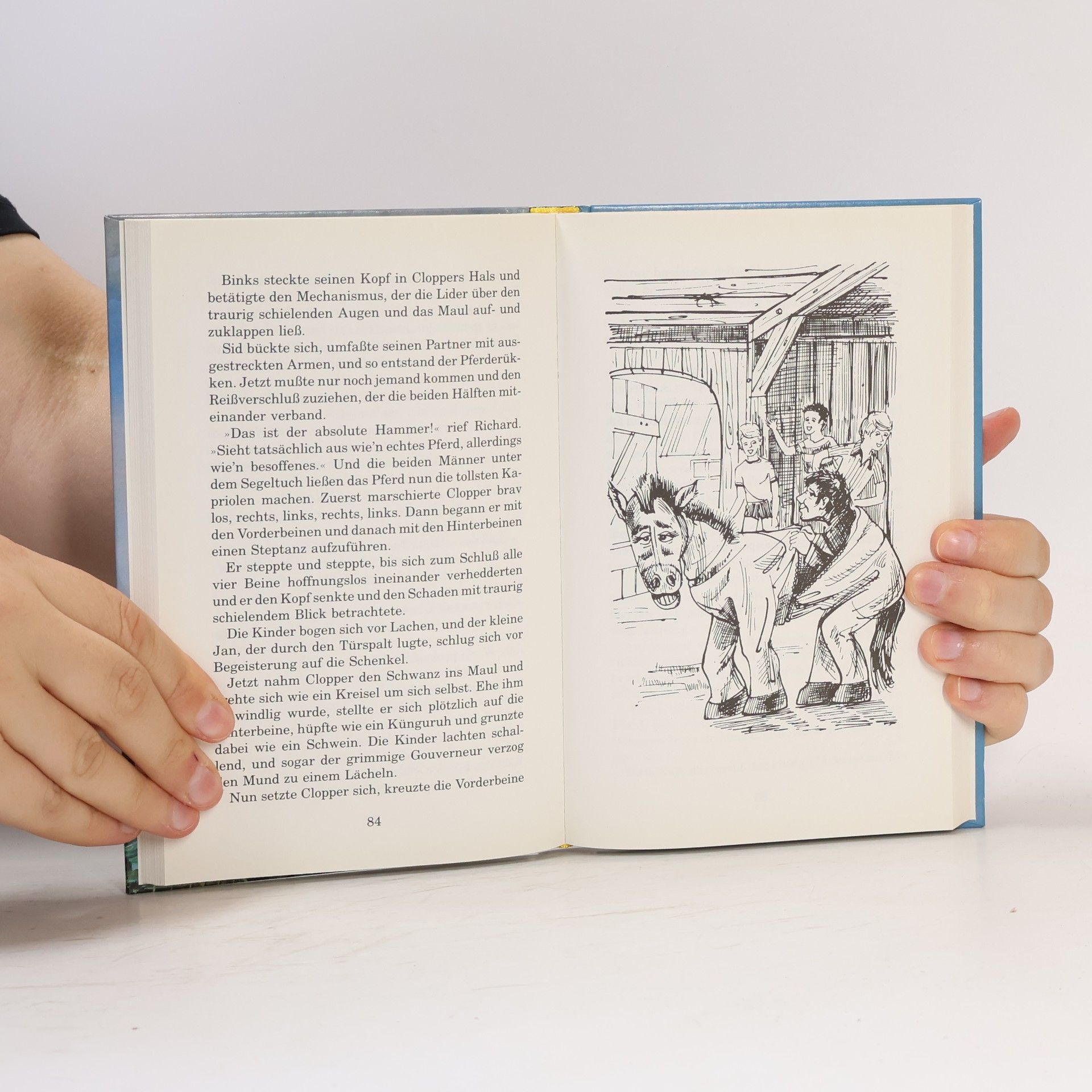 Enid Blyton Fünf Freunde verfolgen die Strandräuber