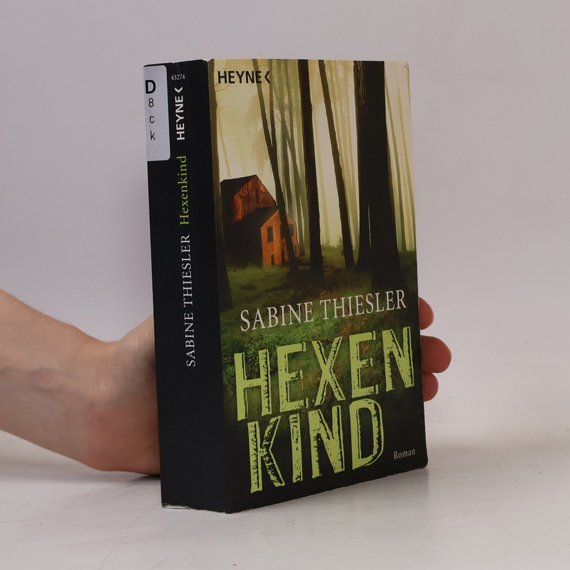 Sabine Thiesler Hexenkind - Roman