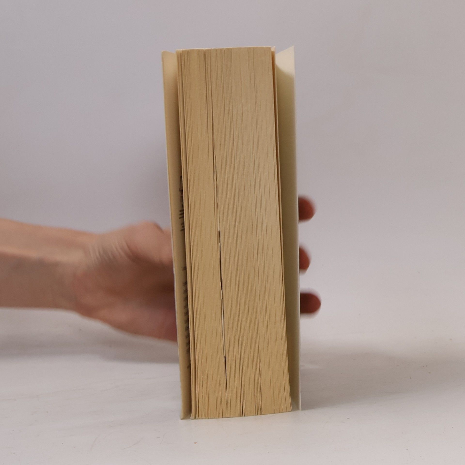 Sabine Thiesler Hexenkind - Roman