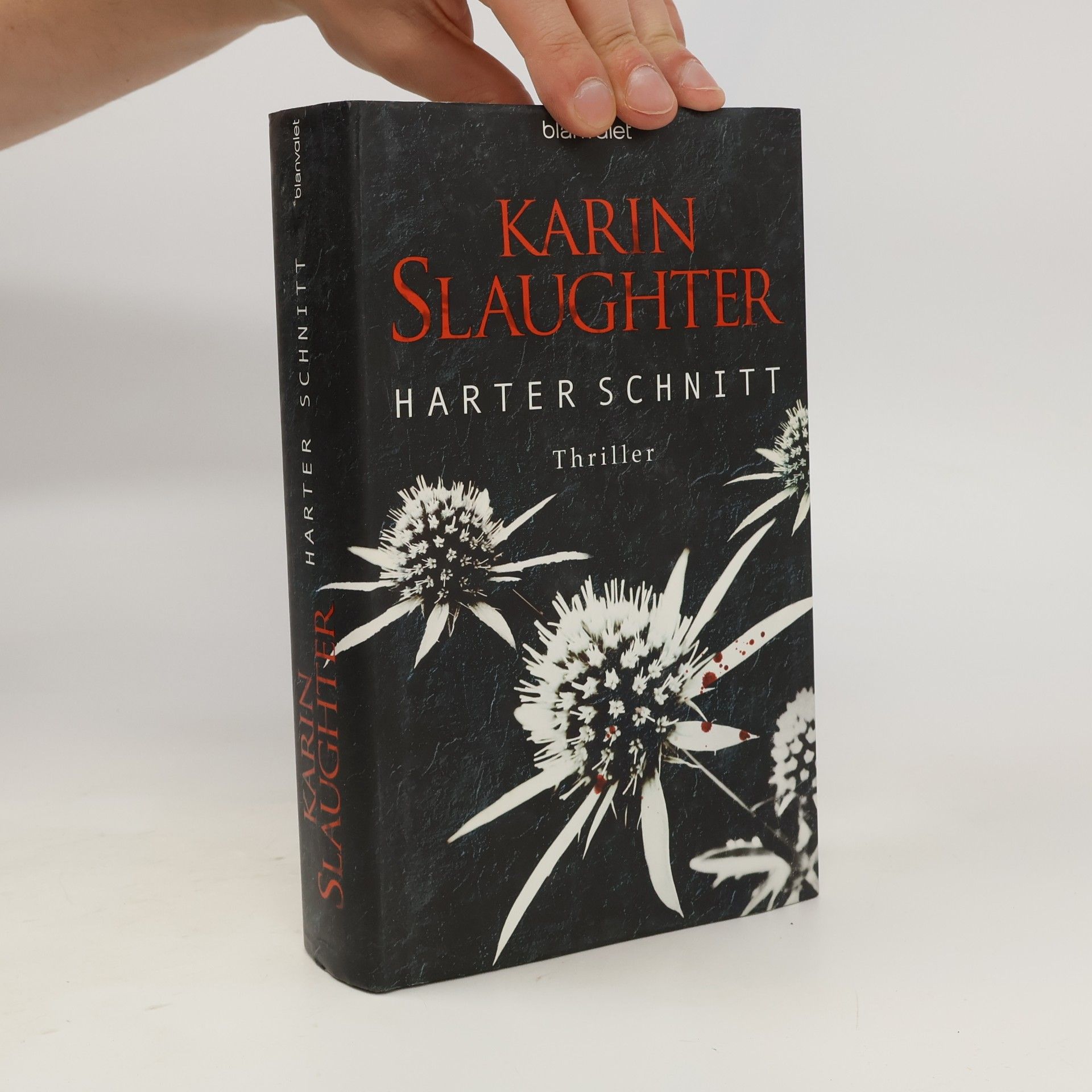 Karin Slaughter Harter Schnitt