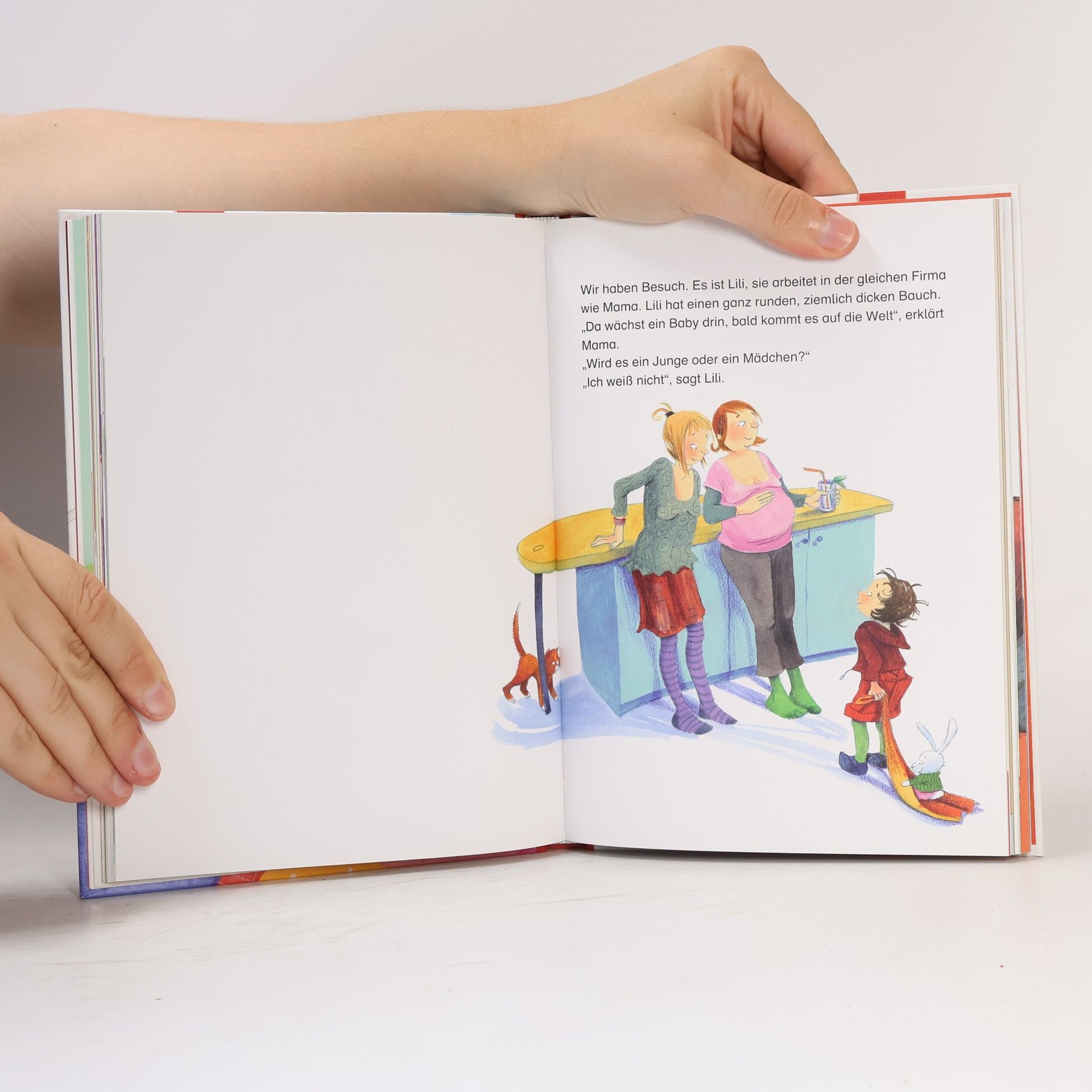 Dagmar Geisler Mein erstes Aufklärungsbuch