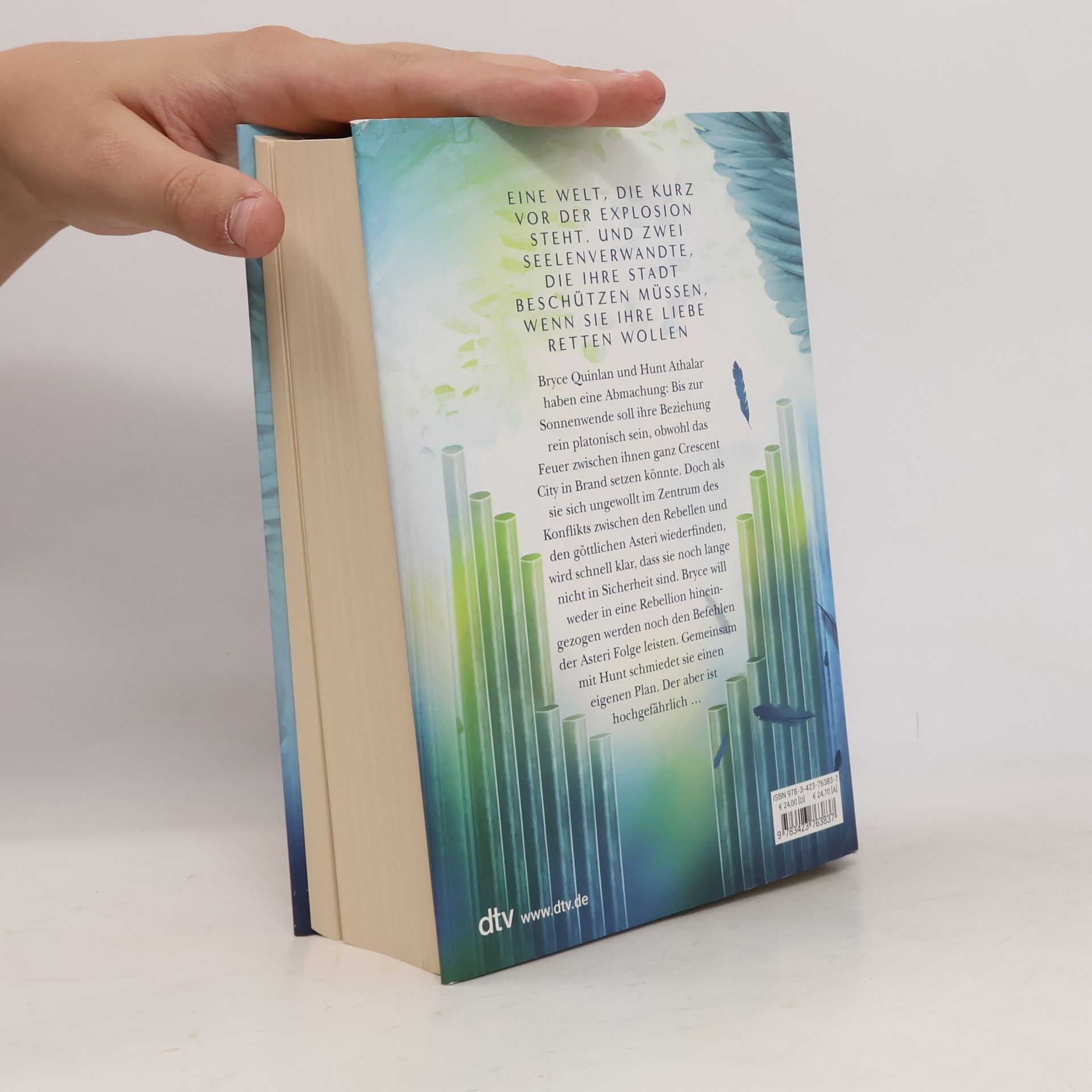 Sarah J. Maas Crescent City 2 - Wenn ein Stern erstrahlt