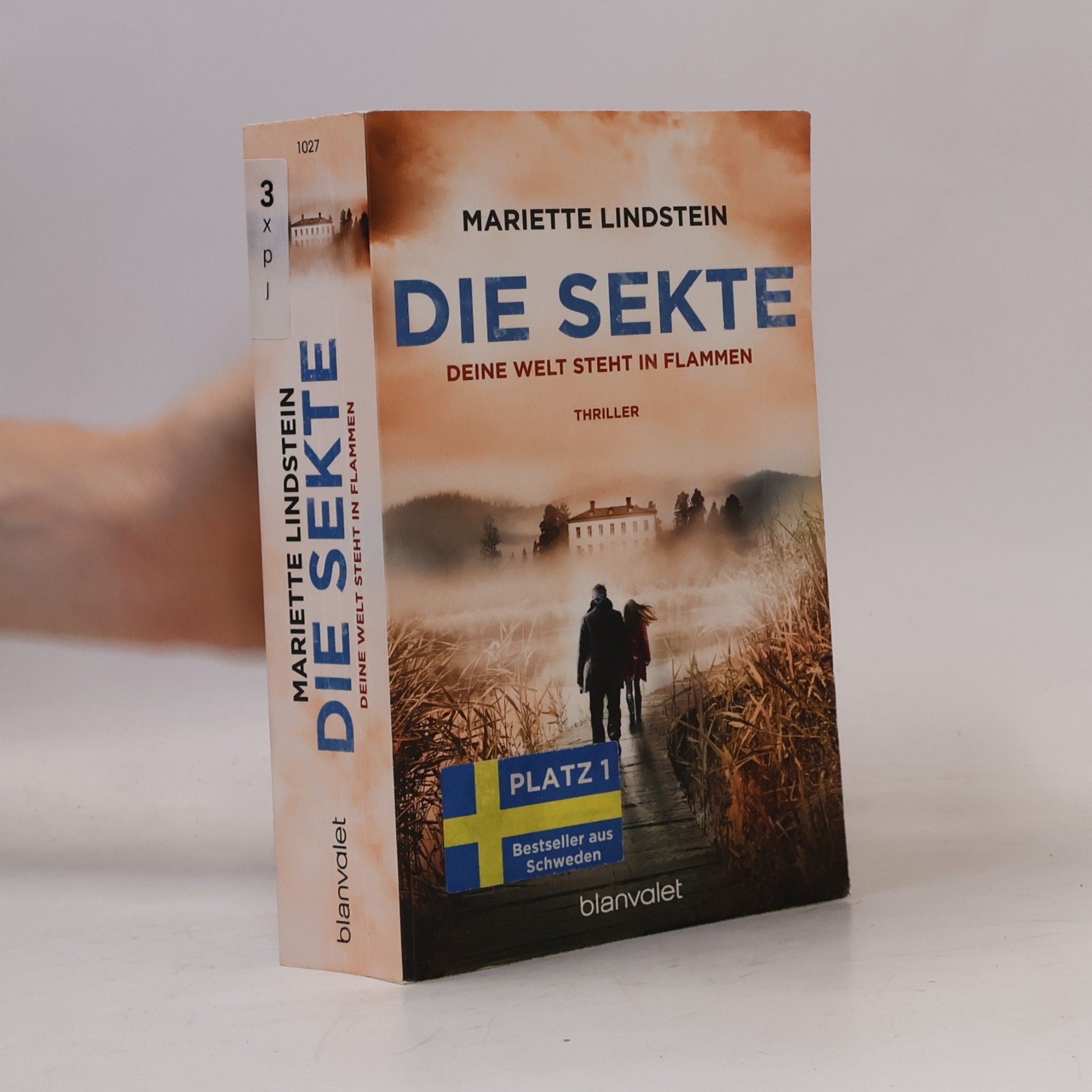 Mariette Lindstein Die Sekte: Deine Welt steht in Flammen