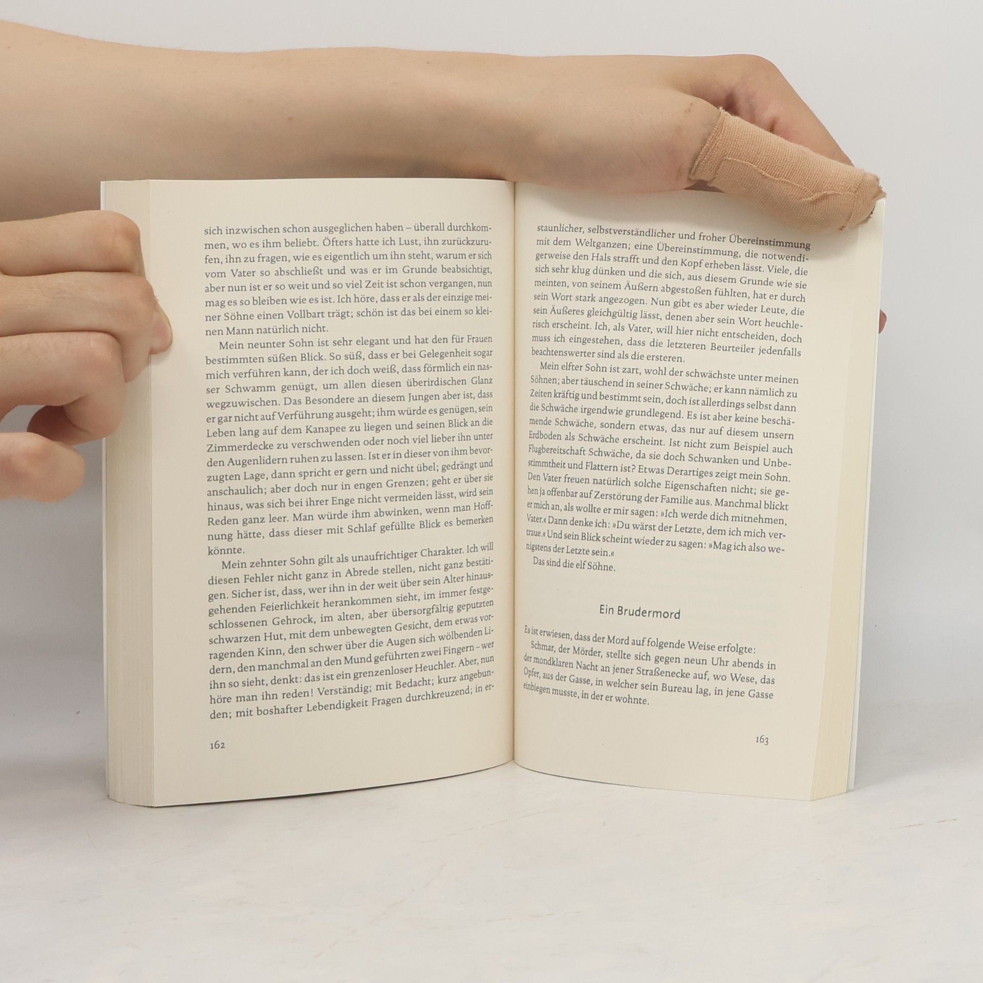 Autorenkollektiv Die Verwandlung und andere Erzählungen