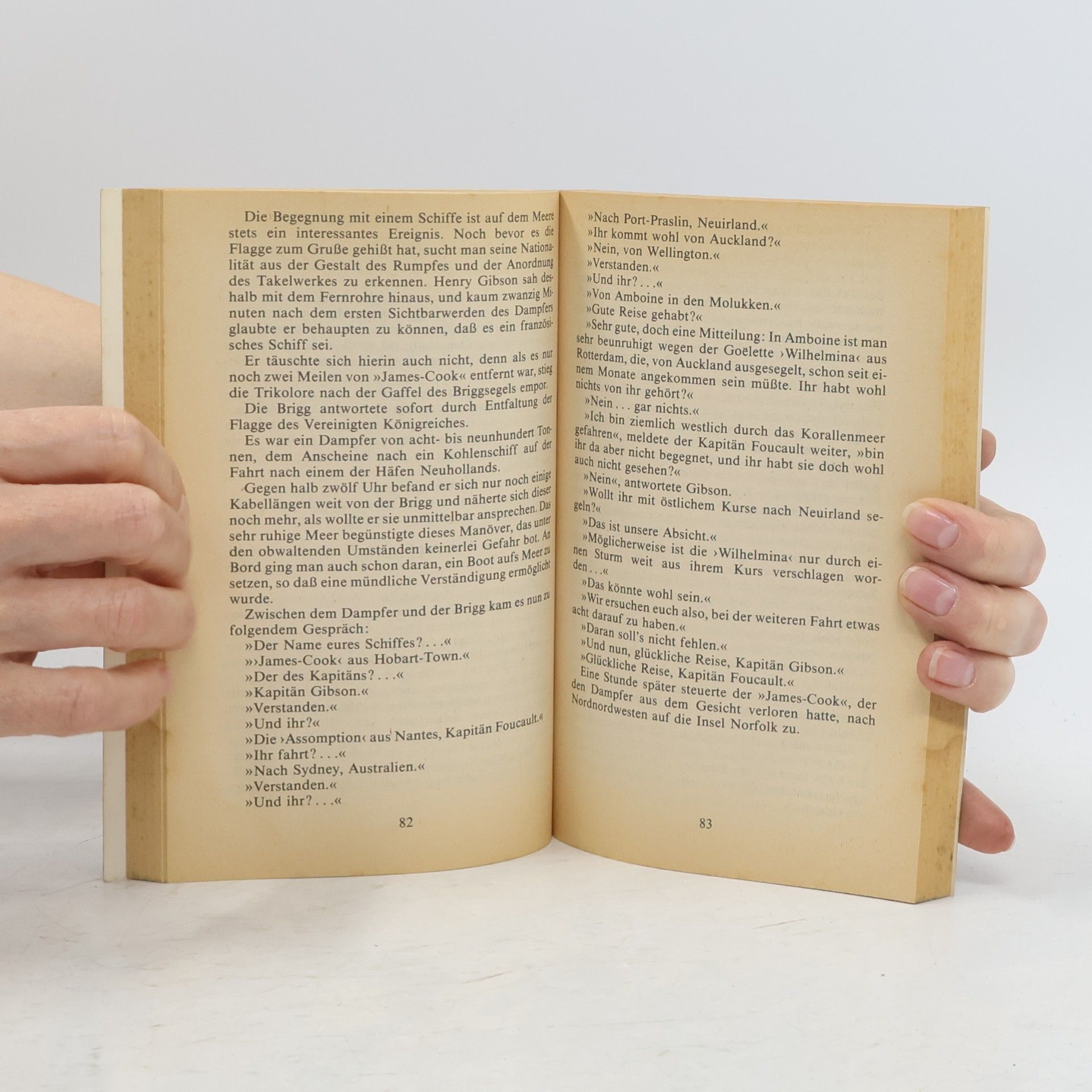 Jules Verne Die Gebrüder Kip 1