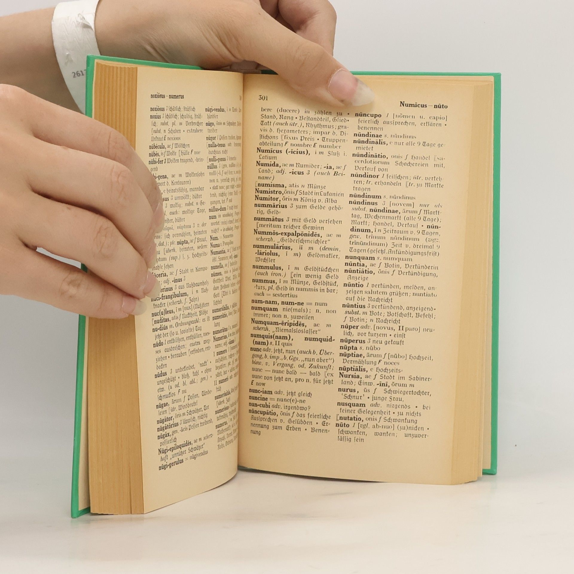 Friedrich Adolf Heinichen PONS Globalwörterbuch