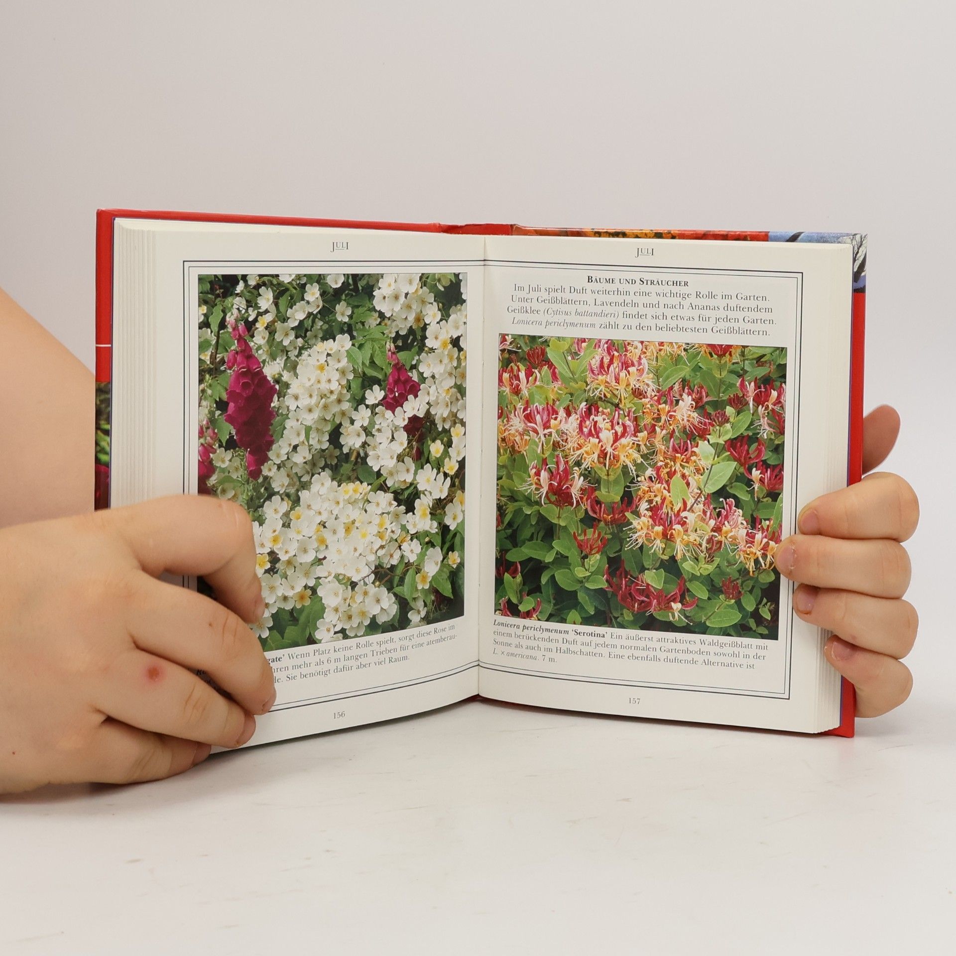Lance Hattatt Das Gartenjahr