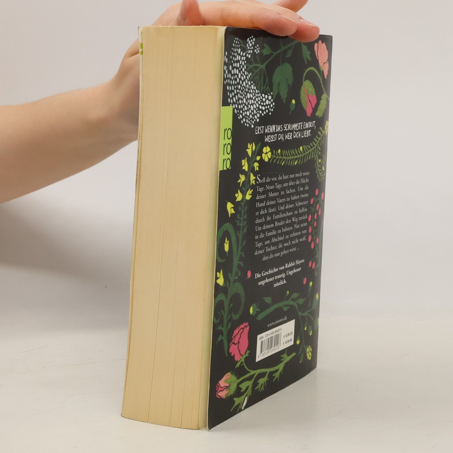 Anna McPartlin Die letzten Tage von Rabbit Hayes