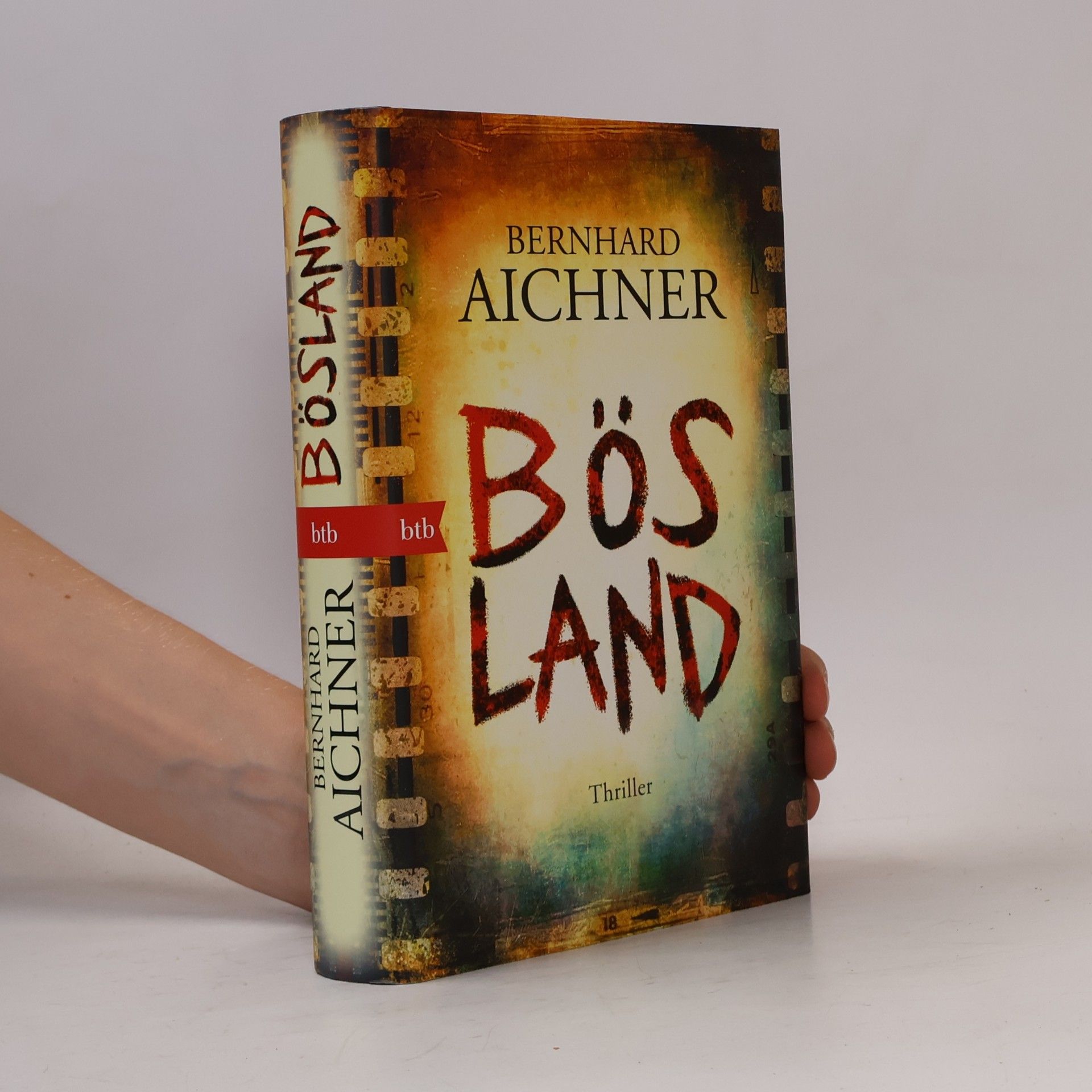Bernhard Aichner Bösland