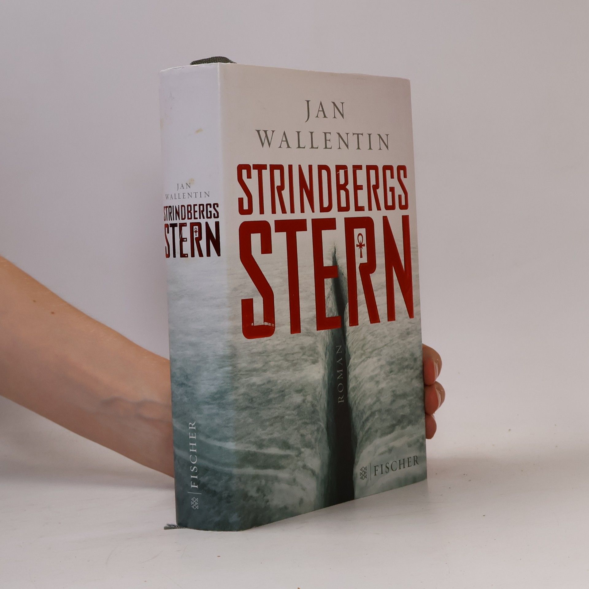 Jan Wallentin Strindbergs Stern