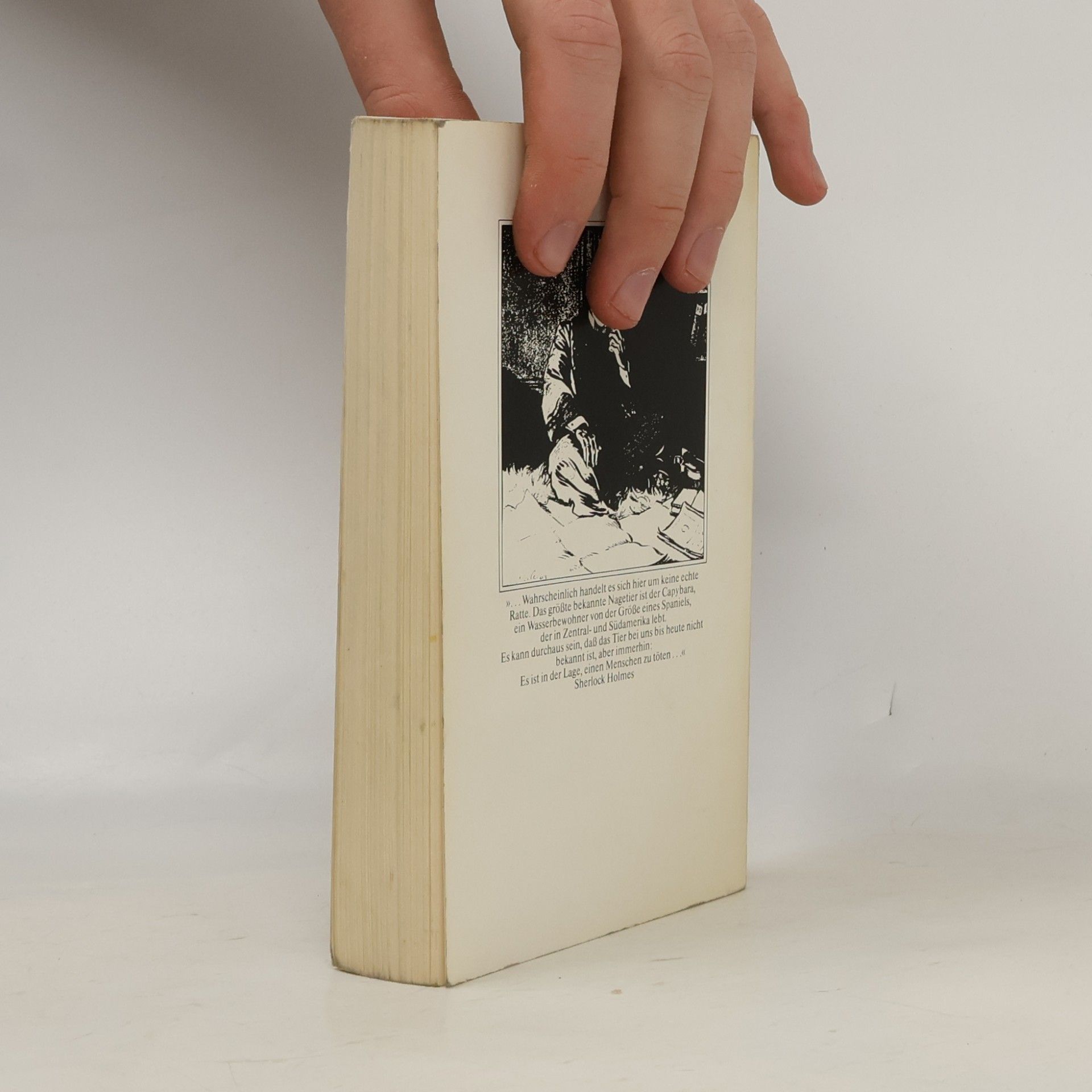 Rick Boyer Sherlock Holmes "Die Riesenratte von Sumatra"