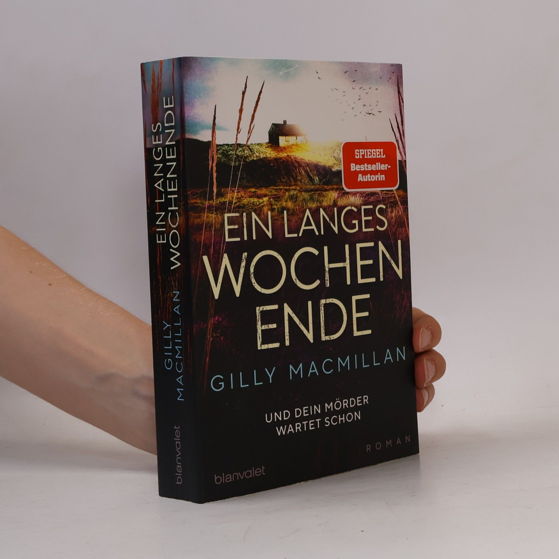 Gilly Macmillan Ein langes Wochenende