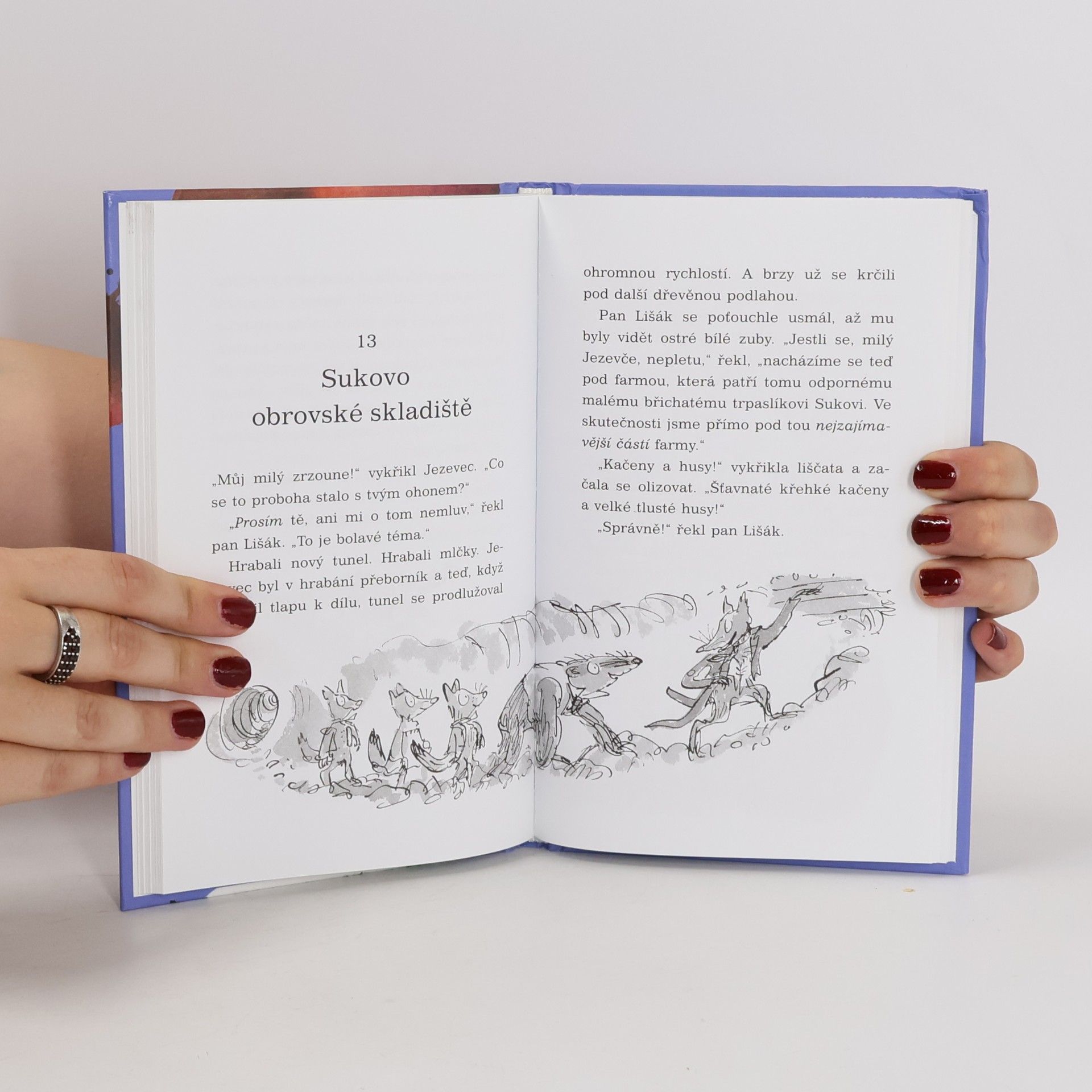 Roald Dahl Fantastický pan Lišák