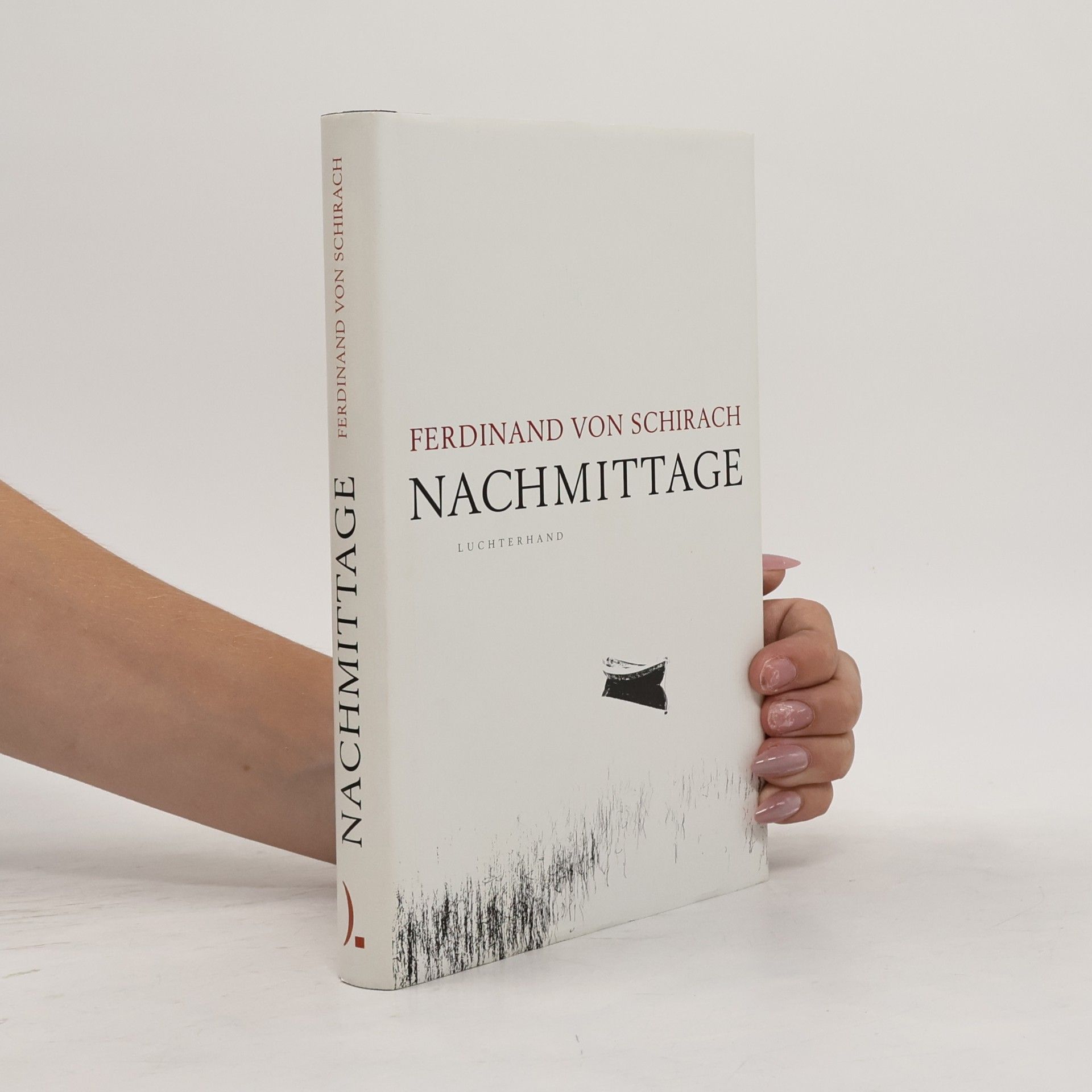 Ferdinand von Schirach Nachmittage