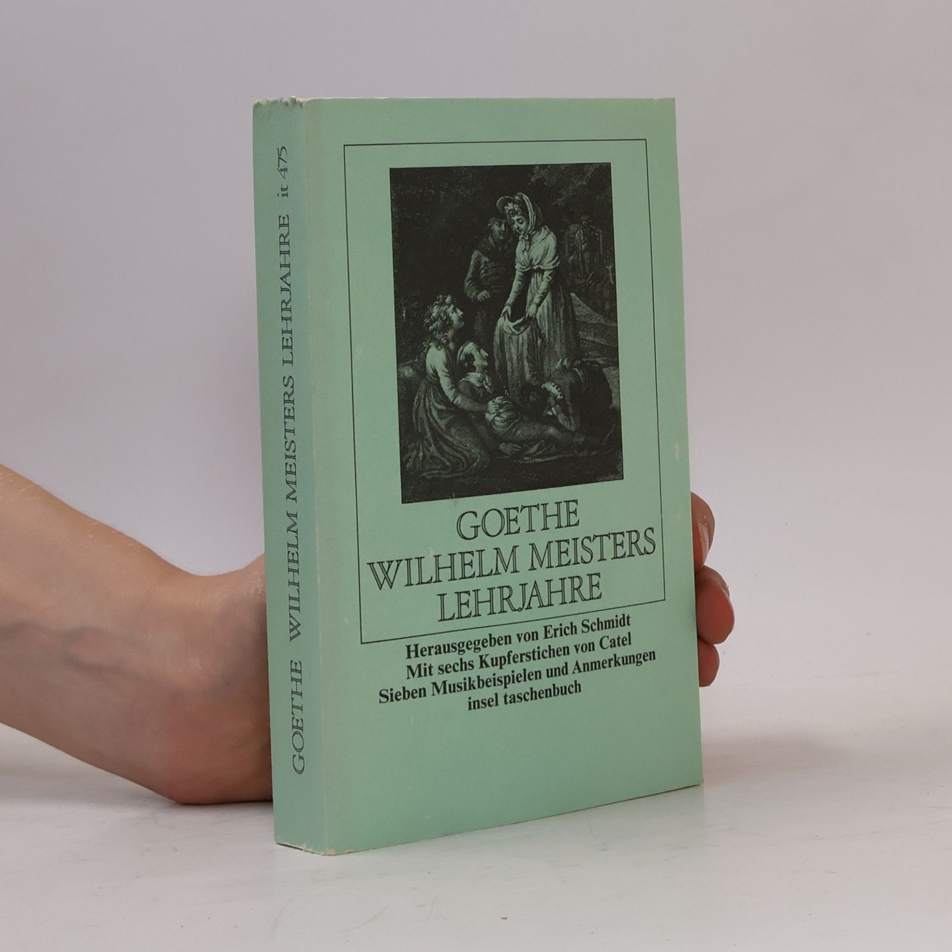 Johann Wolfgang von Goethe Wilhelm Meisters Lehrjahre