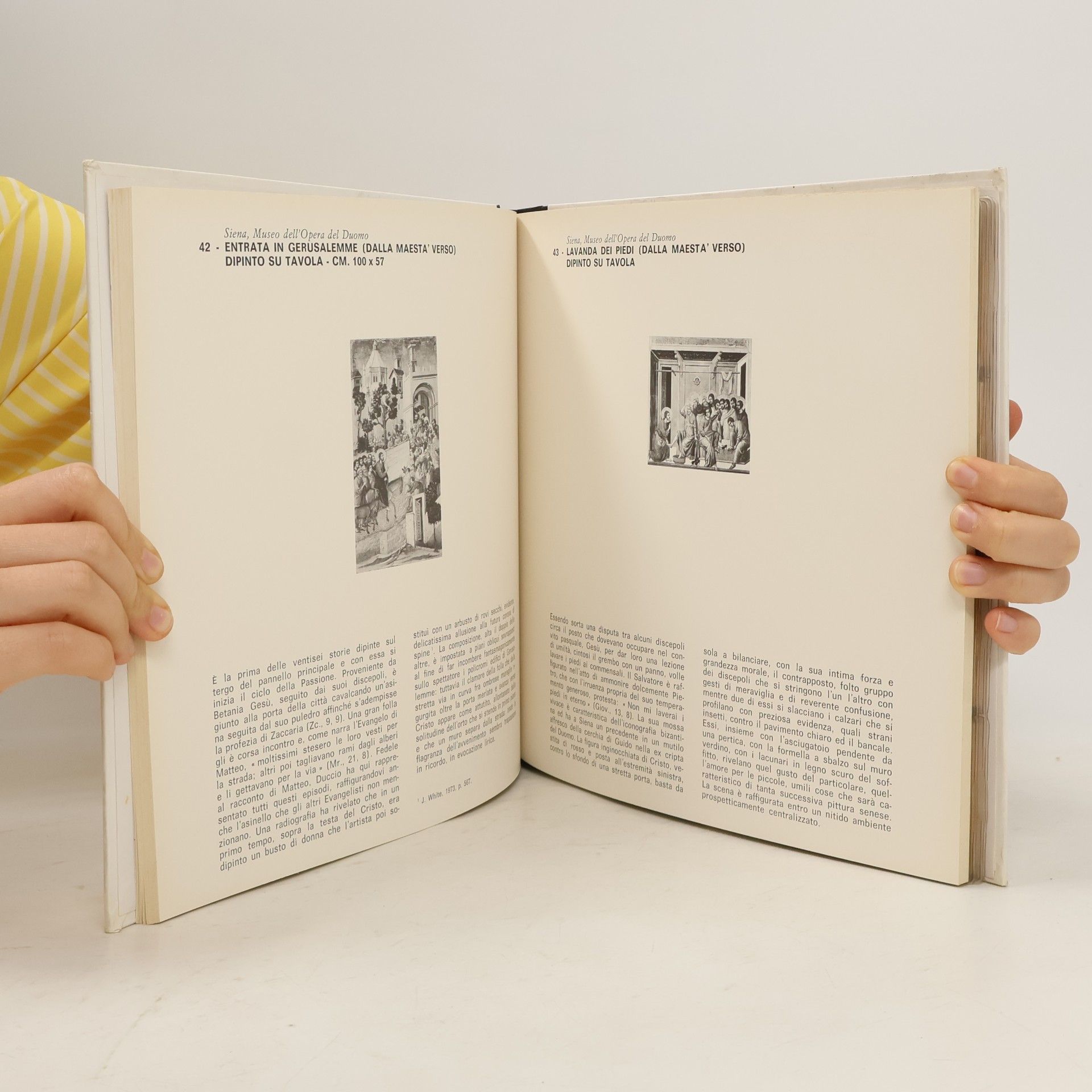 Collectif d'auteurs Duccio di Buoninsegna