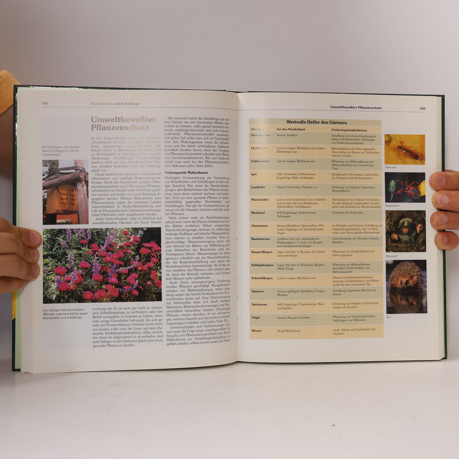 Ernst Deiser Der große ADAC-Ratgeber. Garten. Sommerblumen