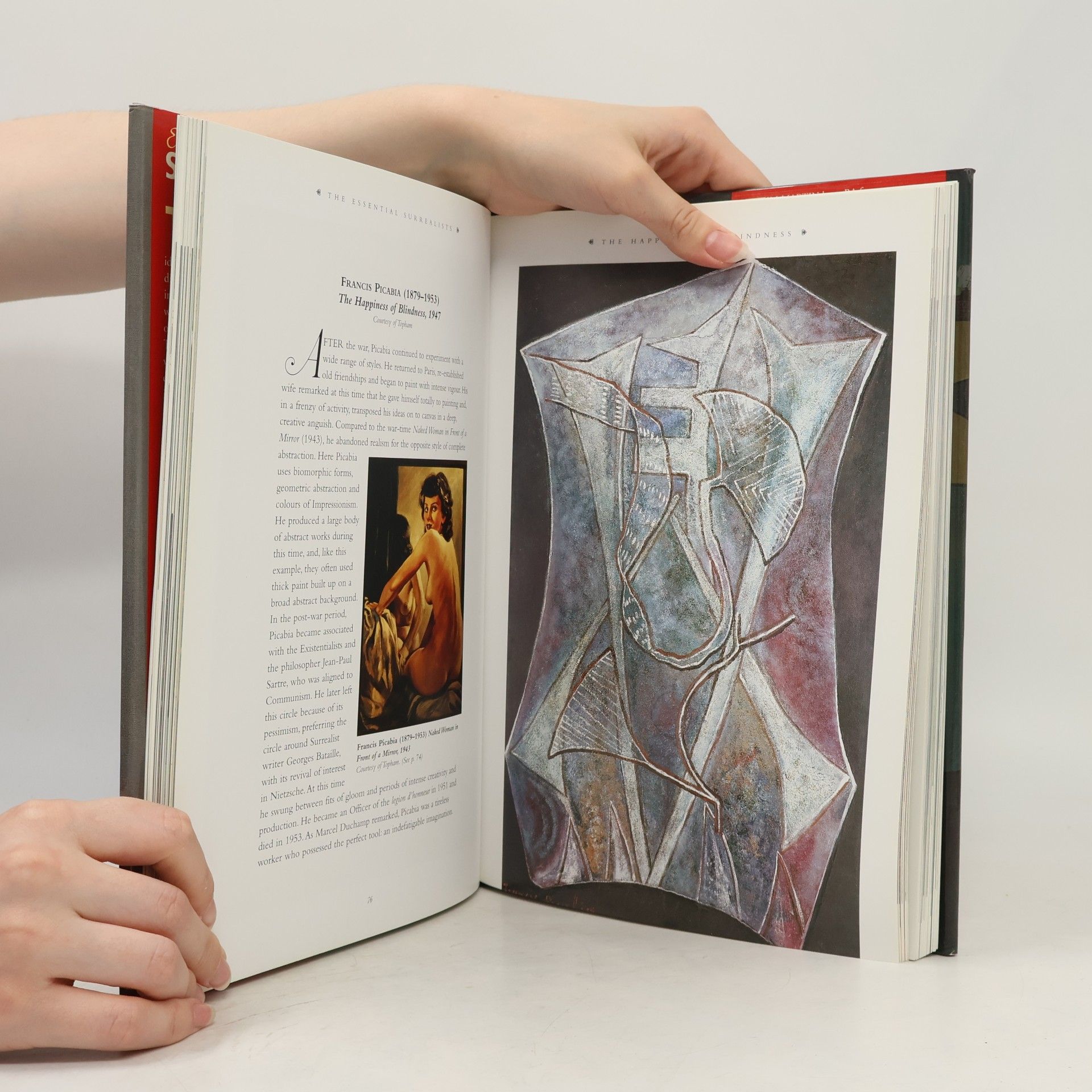 Tim Martin Essential Surrealists