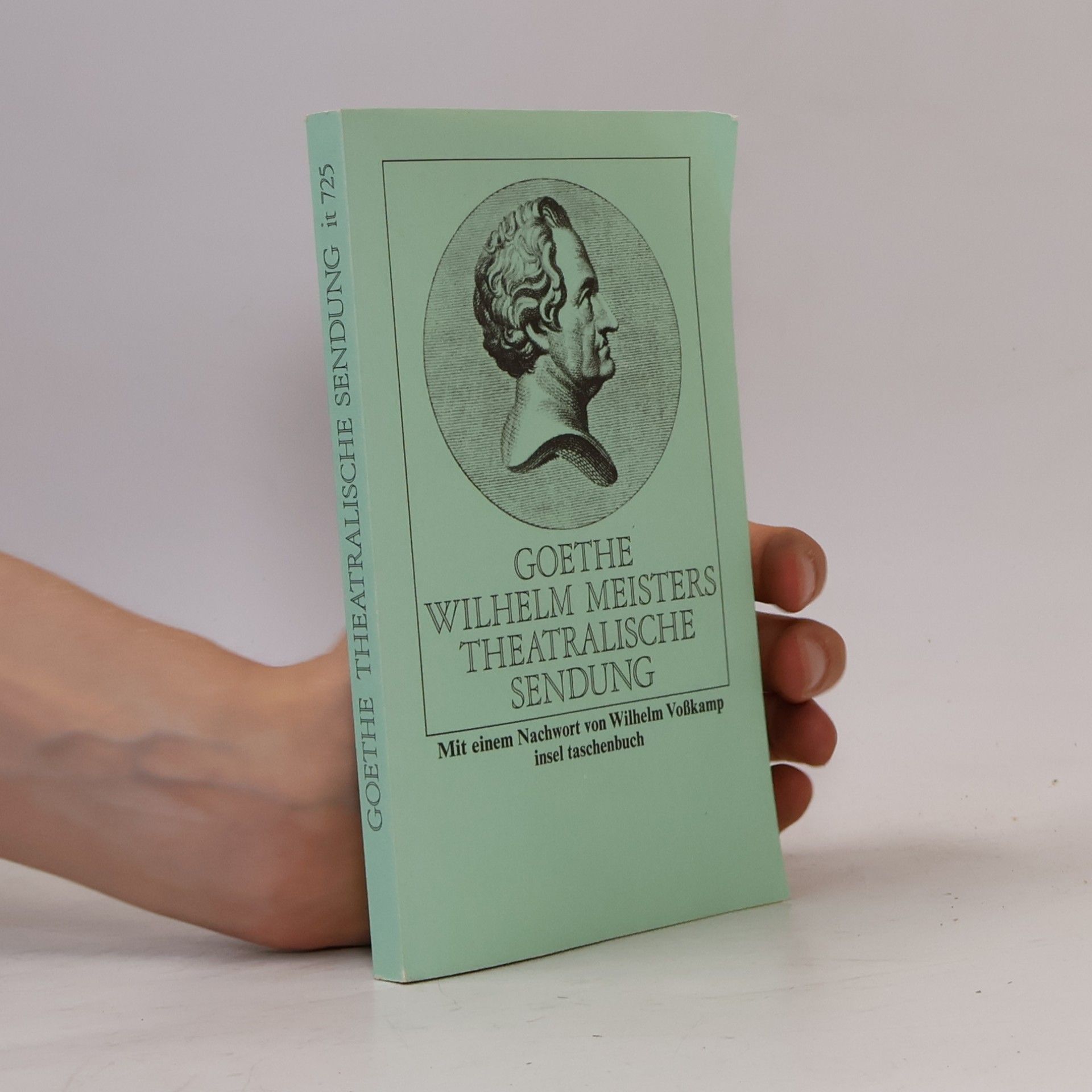 Johann Wolfgang von Goethe Wilhelm Meisters theatralische Sendung. Nachw. v. Wilhelm Voßkamp