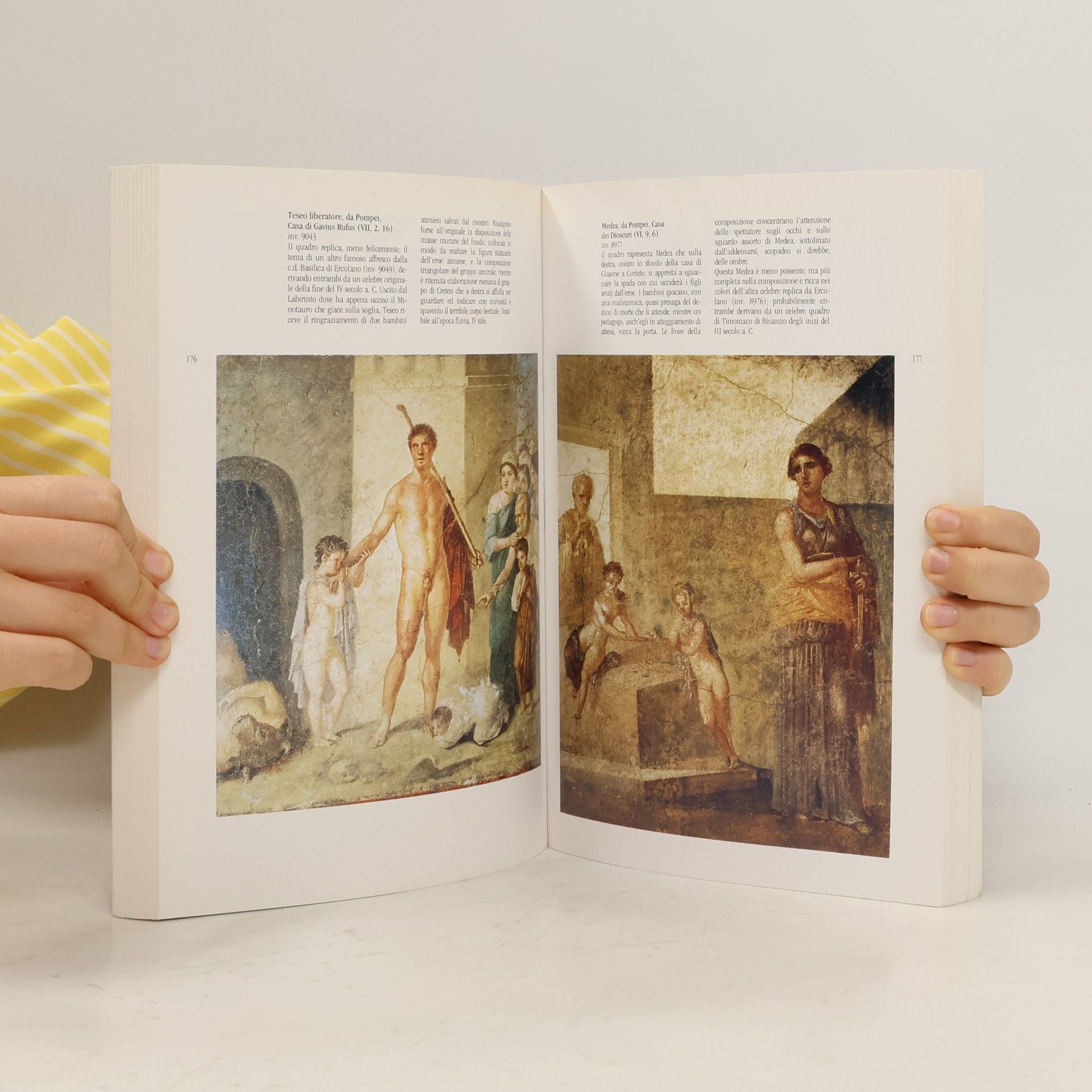 Stefano De Caro Guide Artistiche: Il Museo Archeologico Nazionale di Napoli