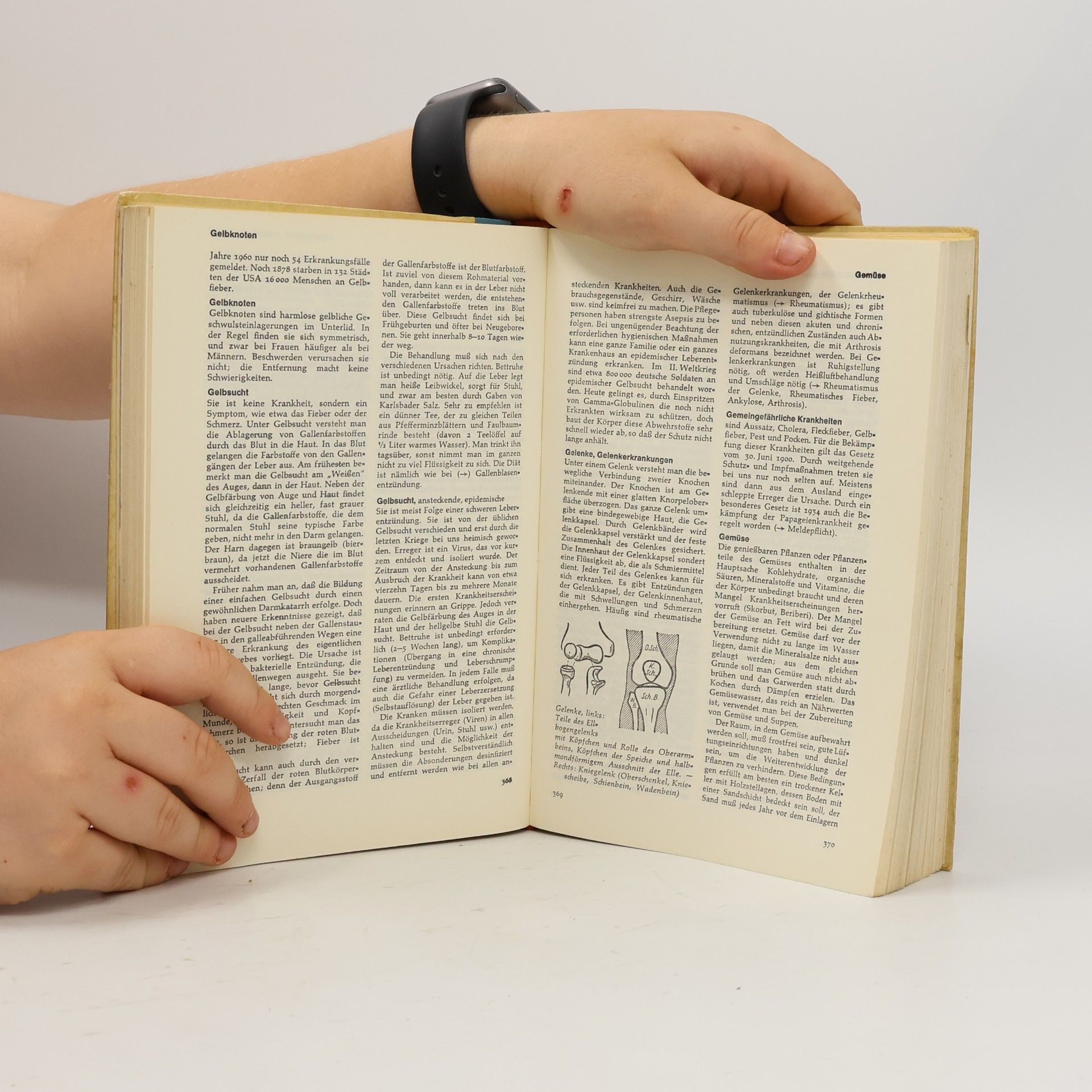 Joseph Briegel Neues gesundheits Lexikon