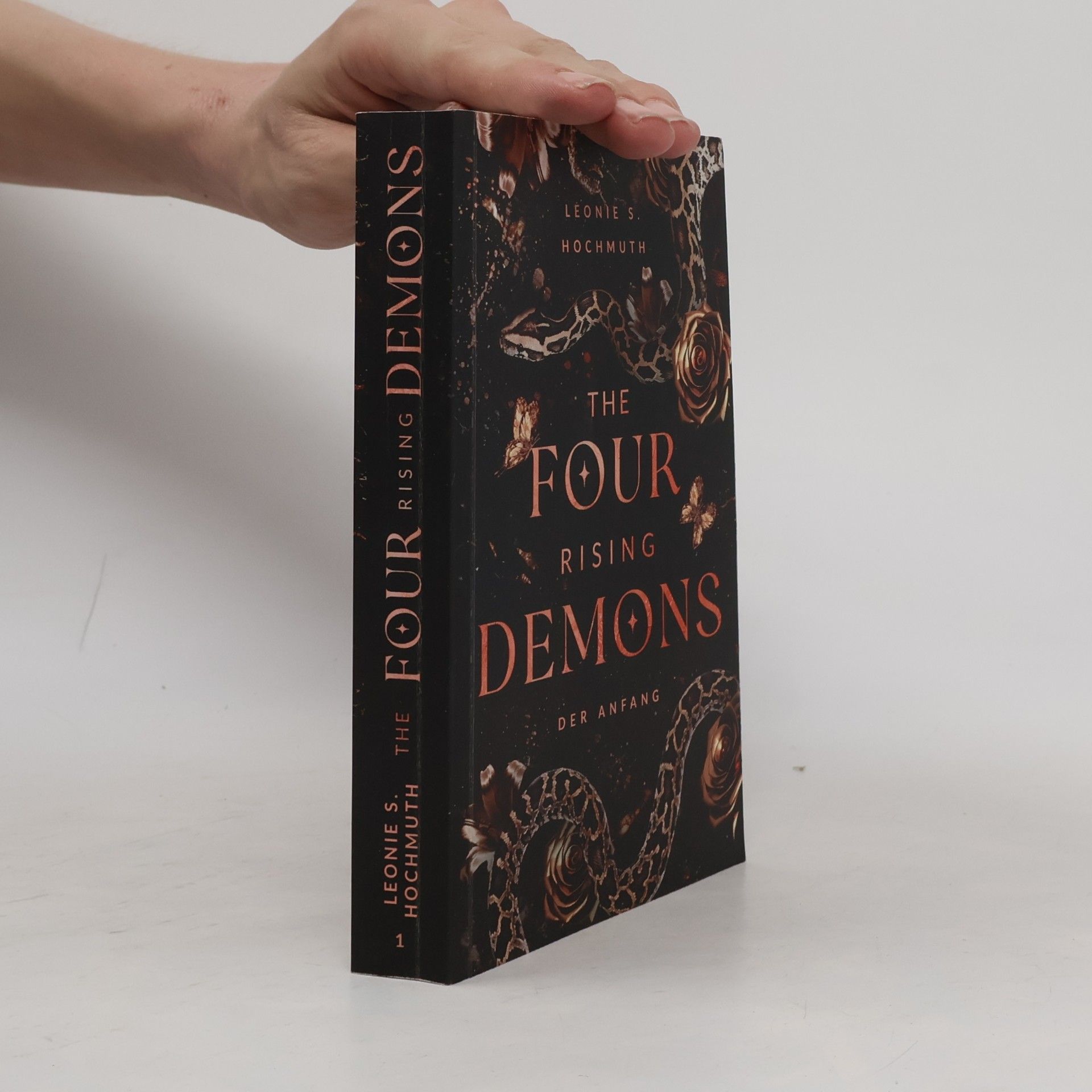 Leonie S. Hochmuth Rising-Demons-Reihe: The Four Rising Demons