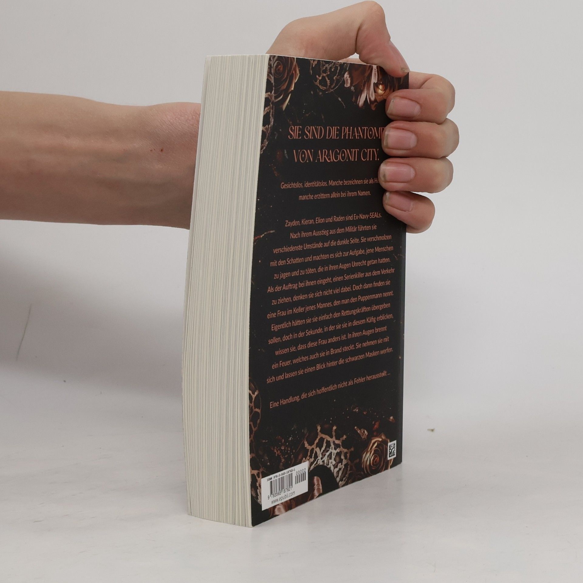 Leonie S. Hochmuth Rising-Demons-Reihe: The Four Rising Demons