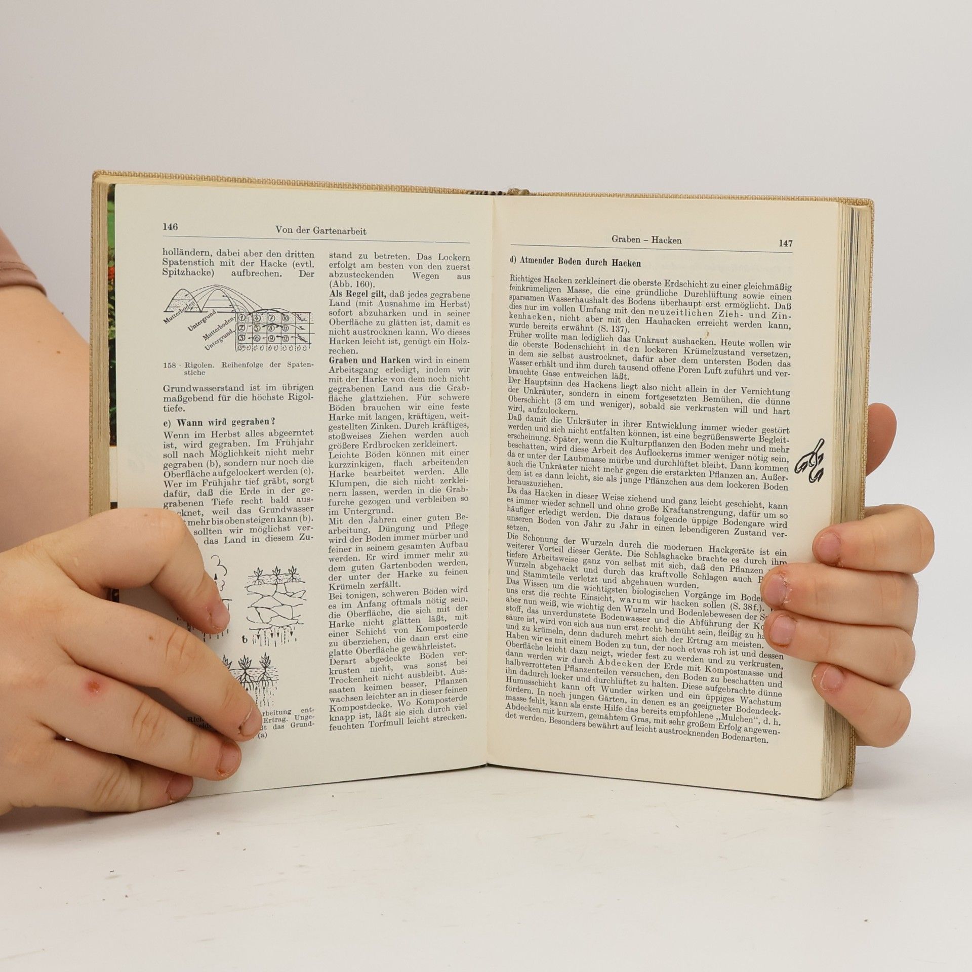 Horst Koehler Das praktische Gartenbuch
