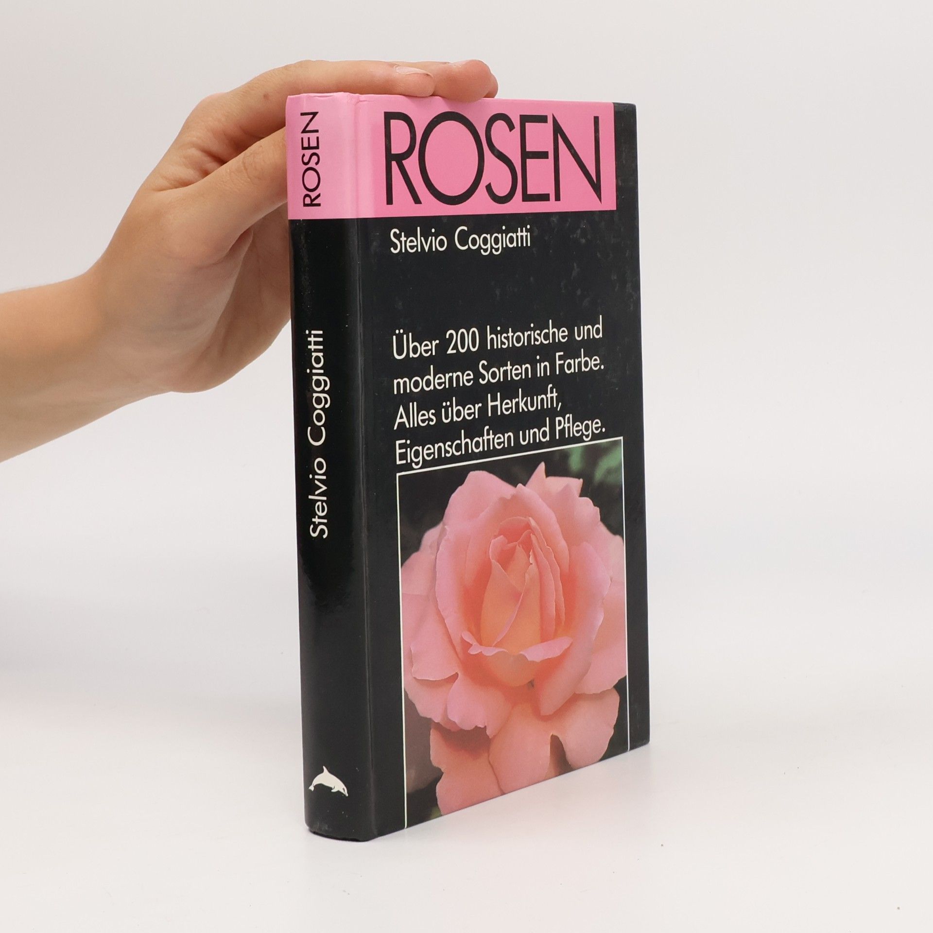 Stelvio Coggiatti Rosen