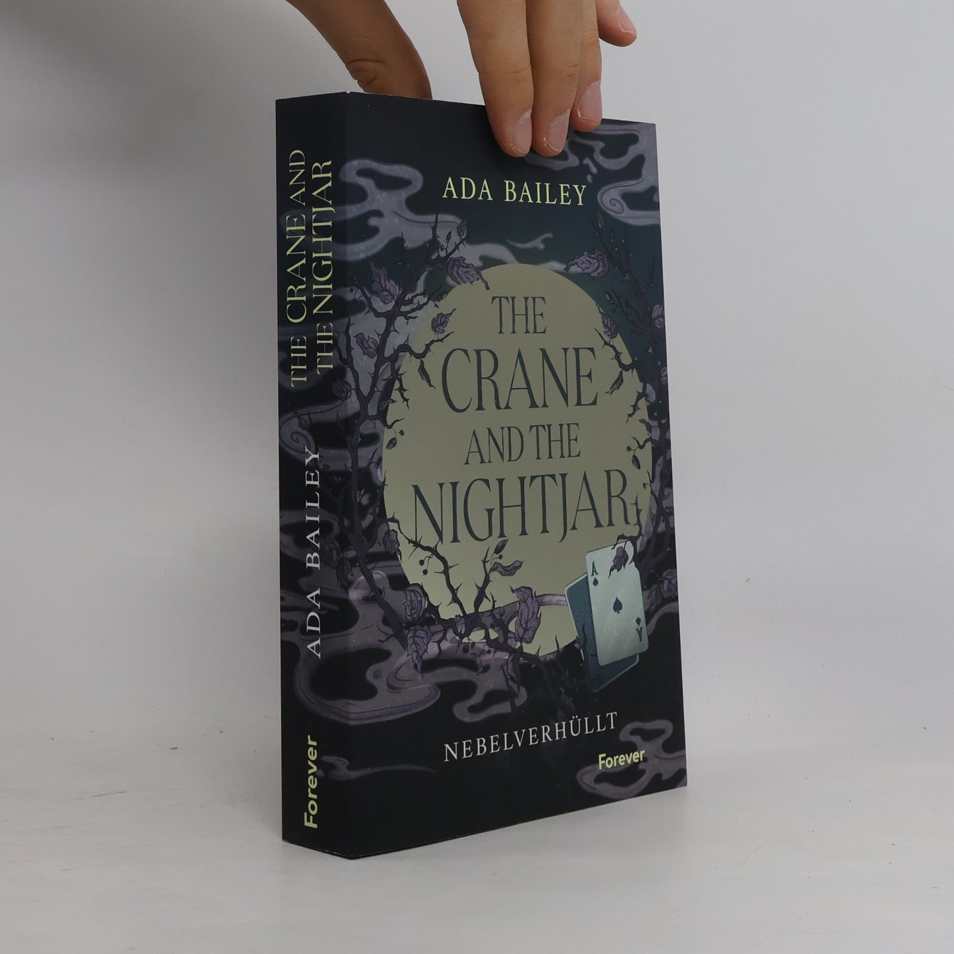 The Crane and the Nightjar