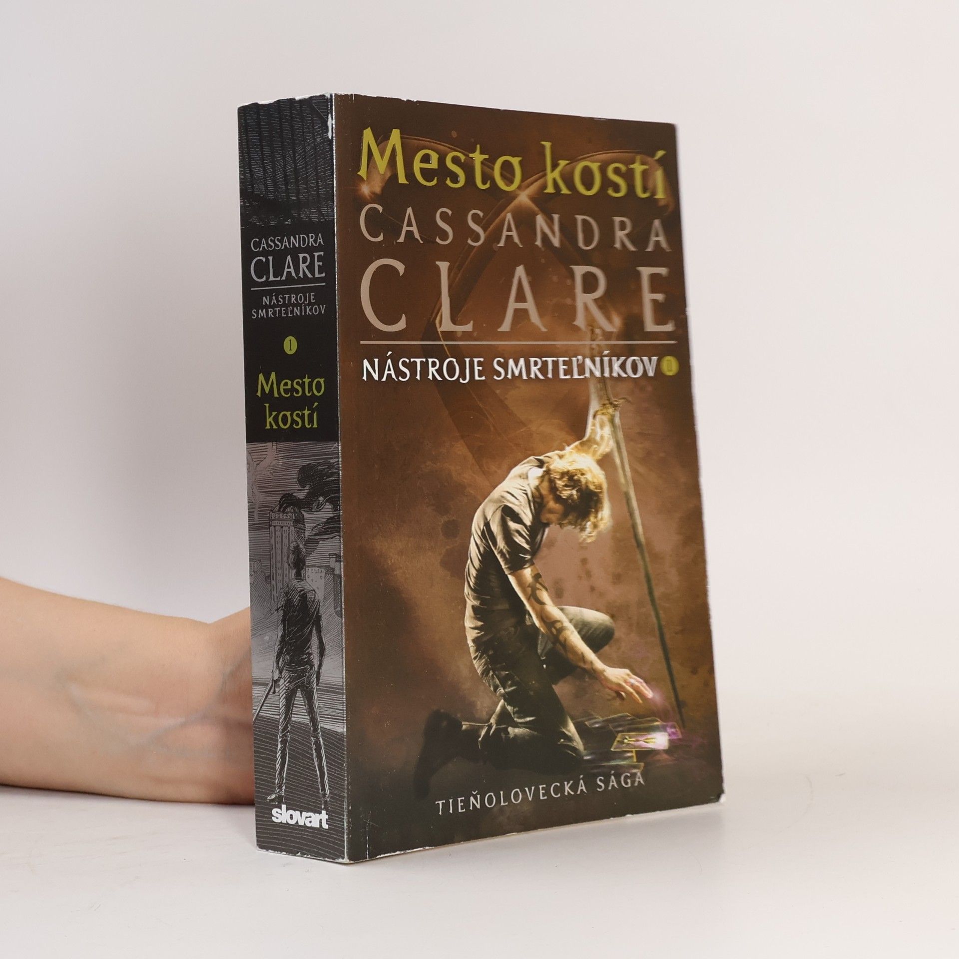 Cassandra Clare Mesto kostí