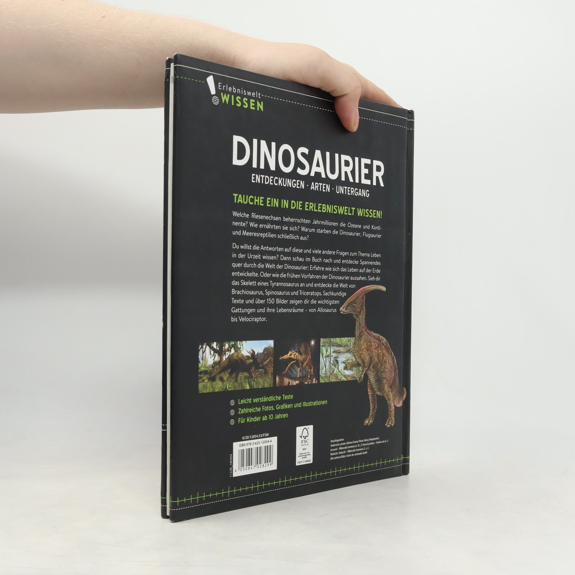 Autorenkollektiv Dinosaurier