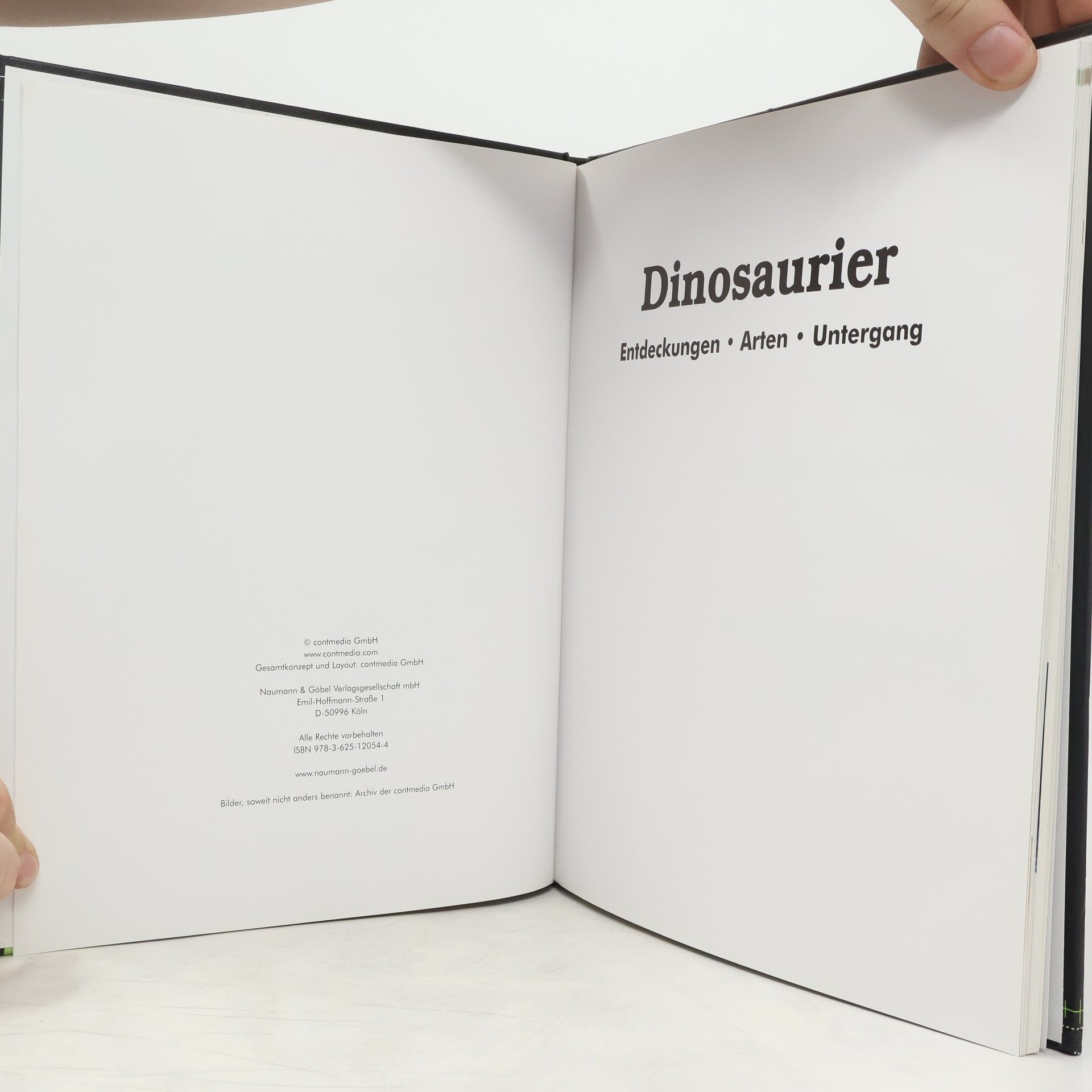 Autorenkollektiv Dinosaurier