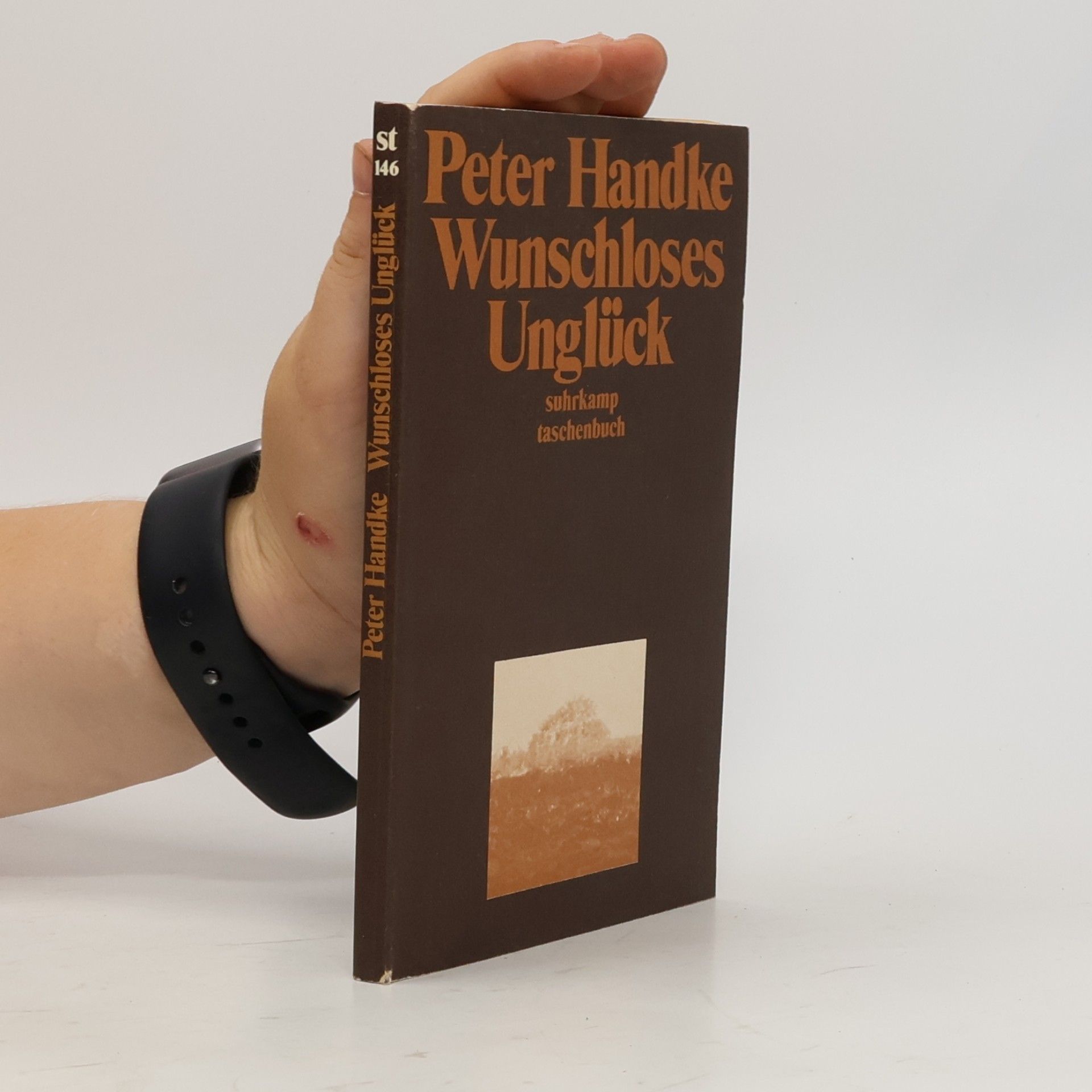 Peter Handke Wunschloses Unglück