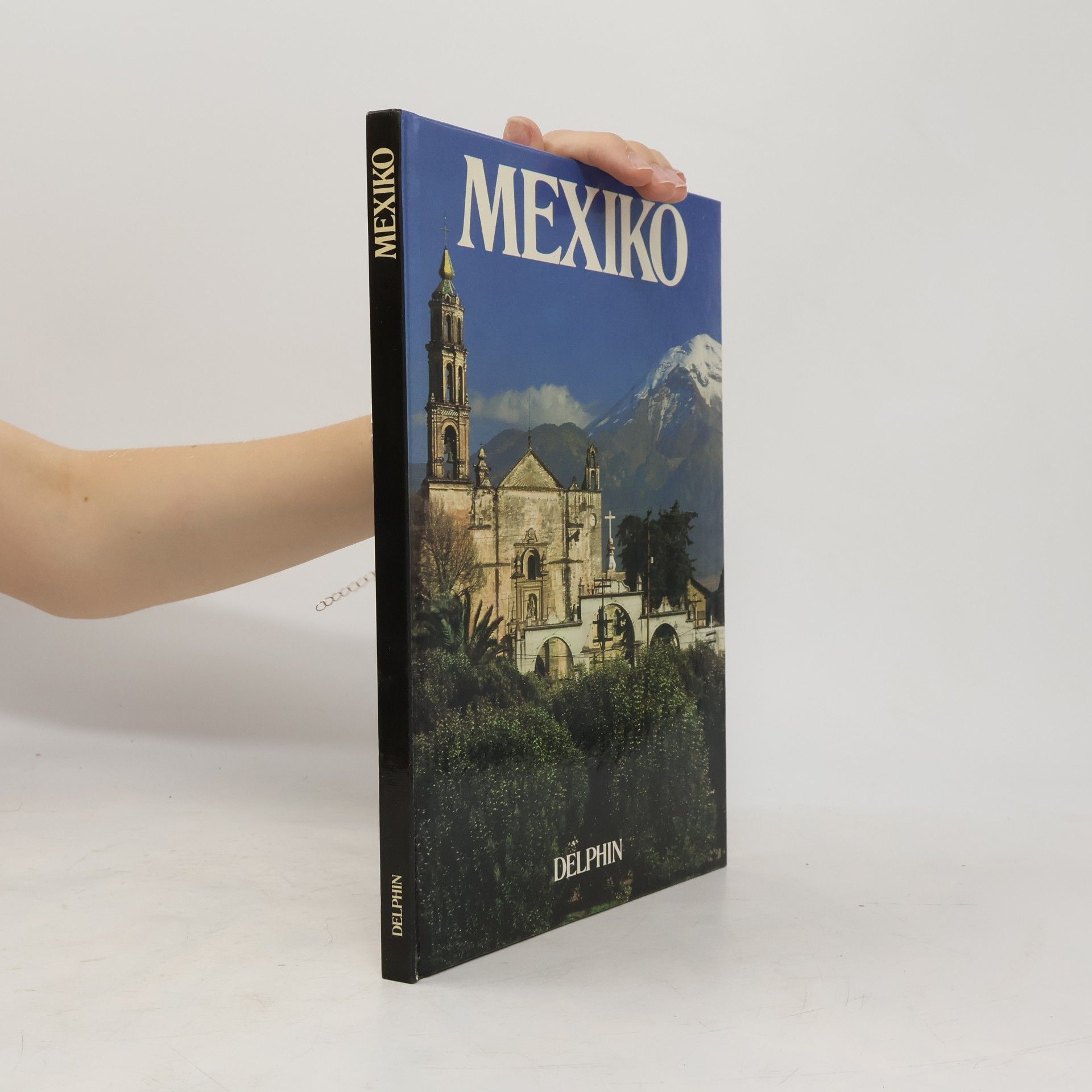 David Gibbon Mexiko