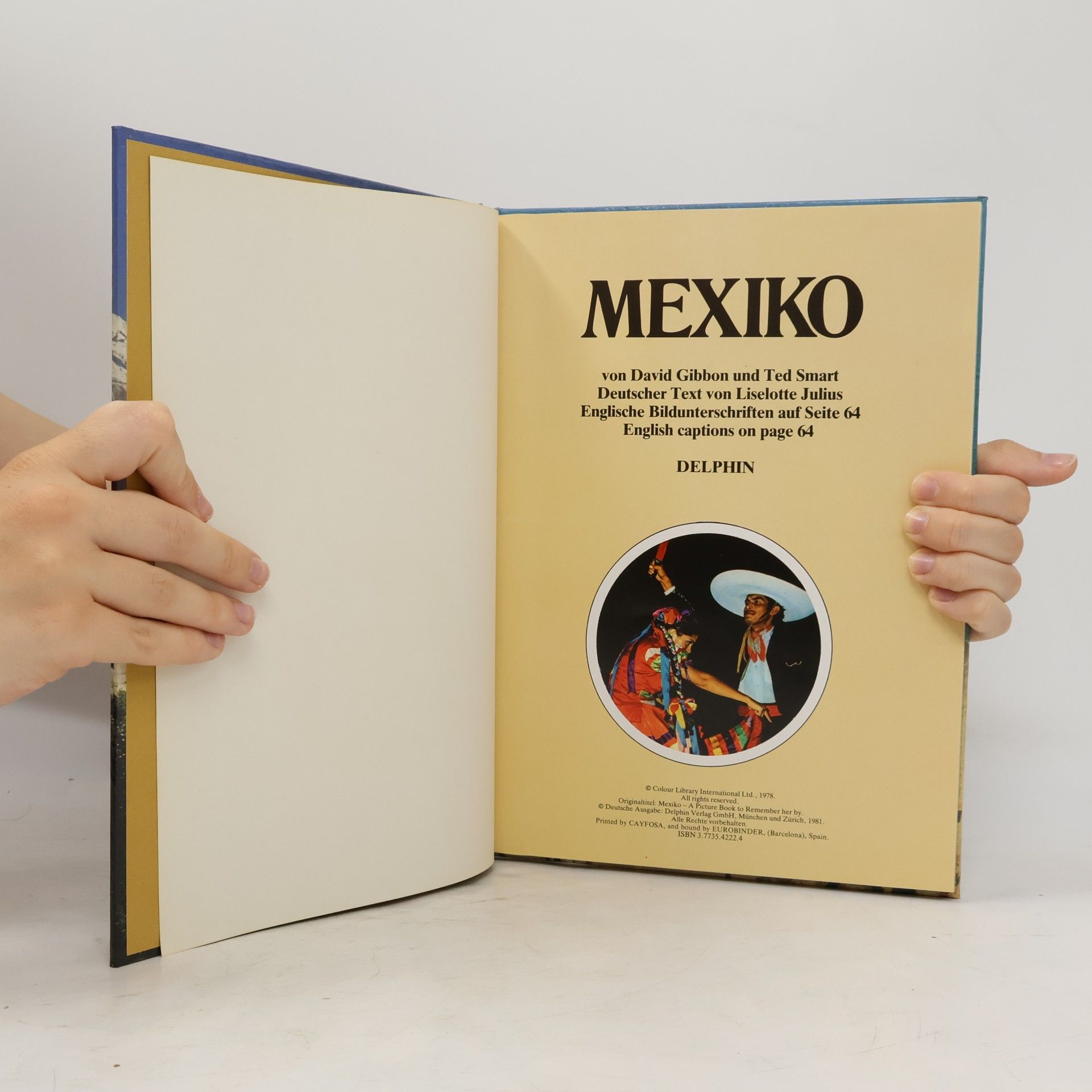 David Gibbon Mexiko