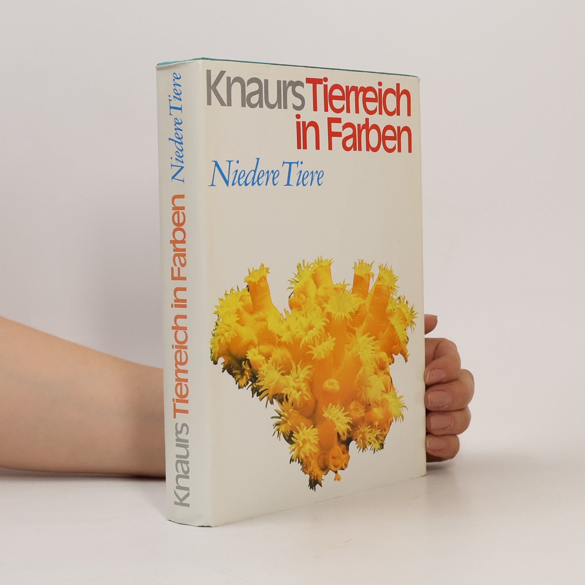 Auteurscollectief Knaurs Tierreich in Farben. Niedere Tiere