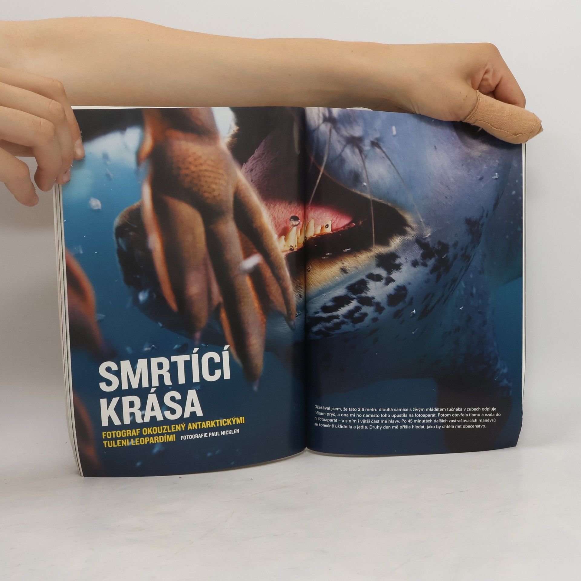 Kolektív autorov National Geographic Česko. Listopad 2006