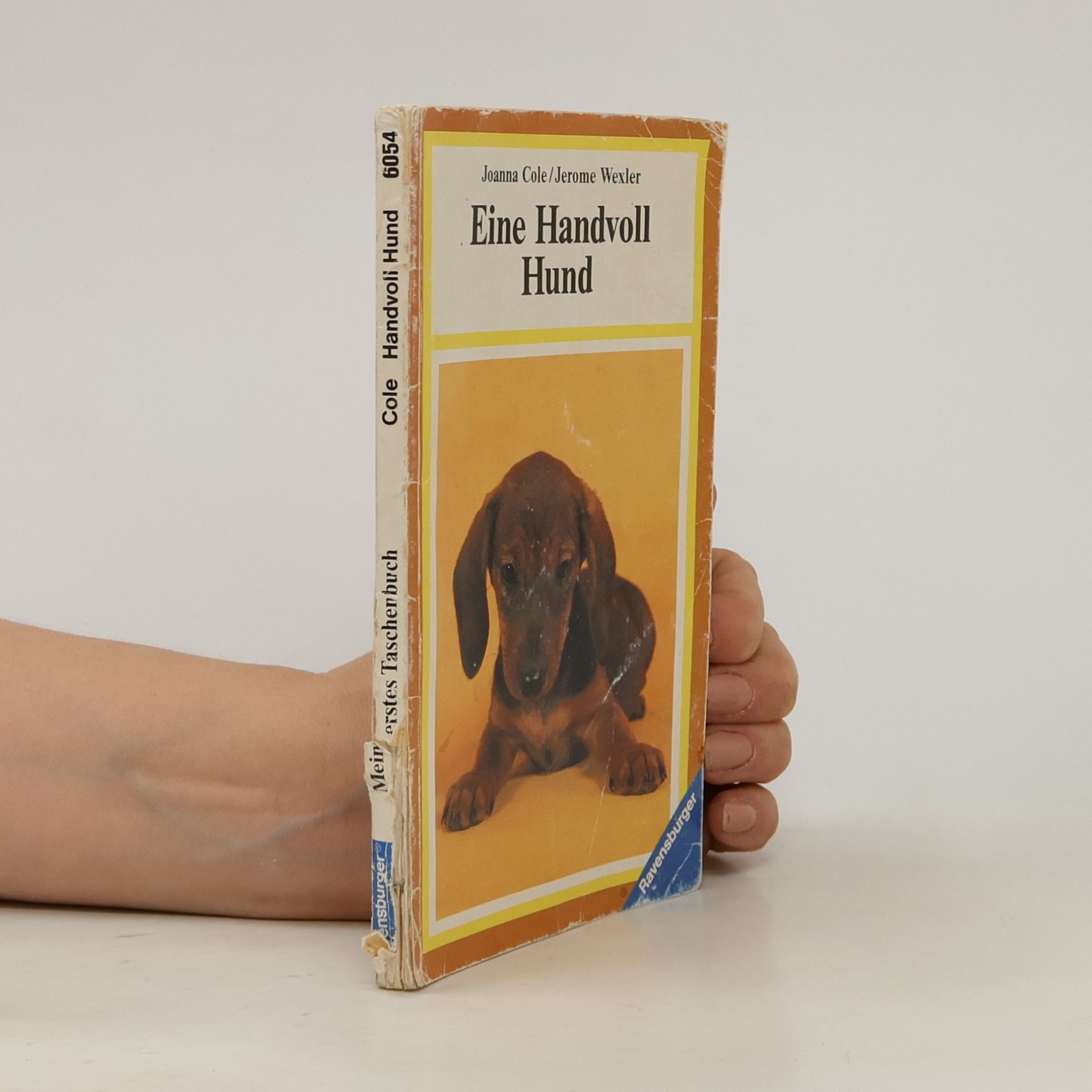 Eine Handvoll Hund.