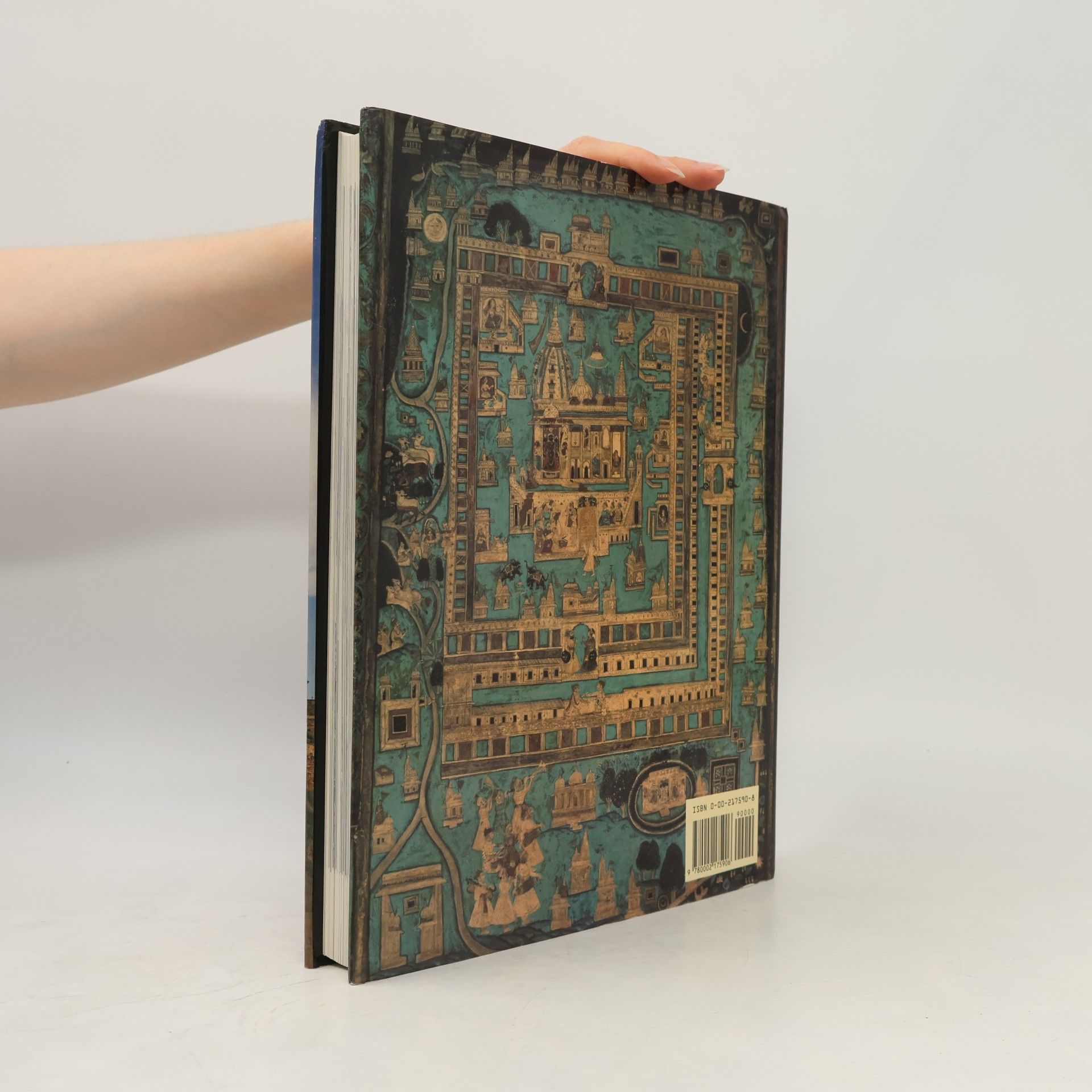 Virginia Fass The Forts of India