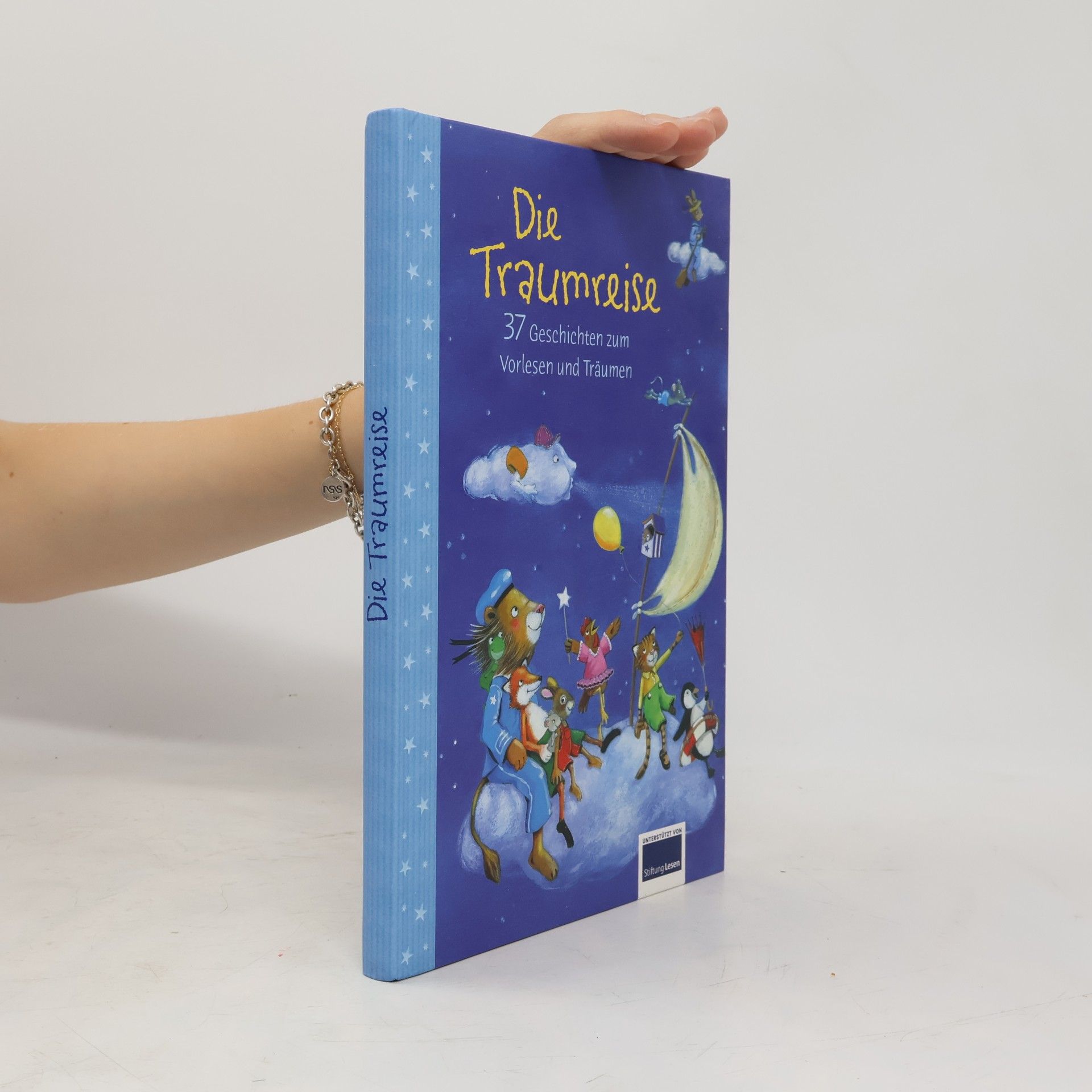 Kolektiv autorů Die Traumreise
